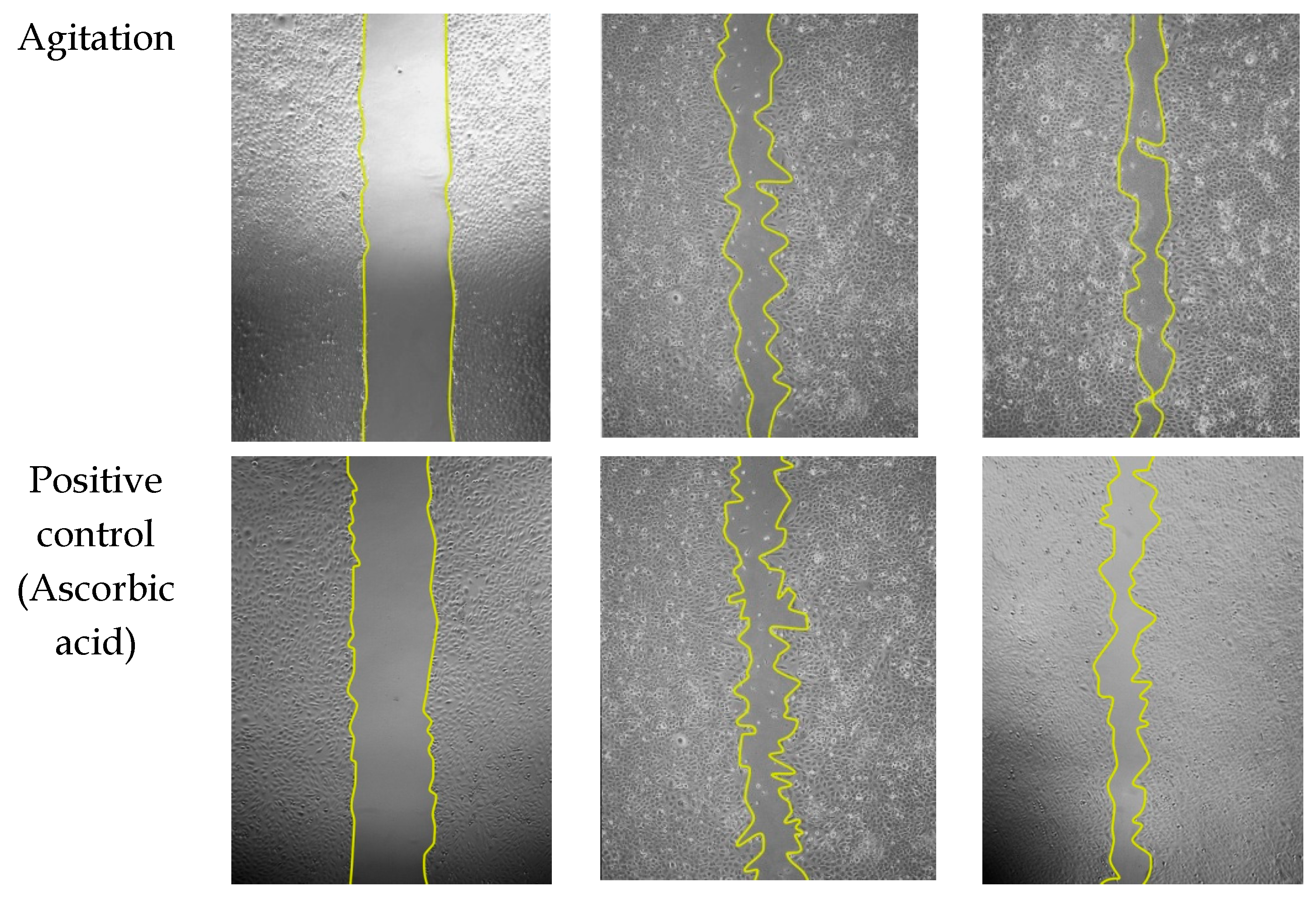 Molecules 25 00517 g004b Molecules 25 00517 g004b