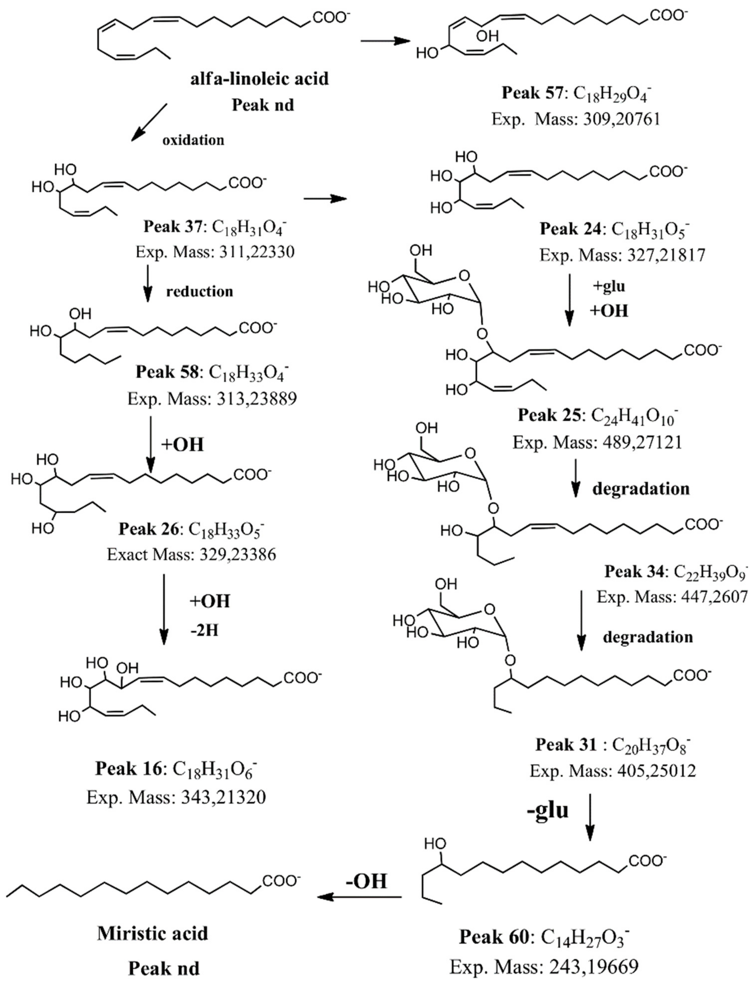 Molecules 25 00520 g005 Molecules 25 00520 g005