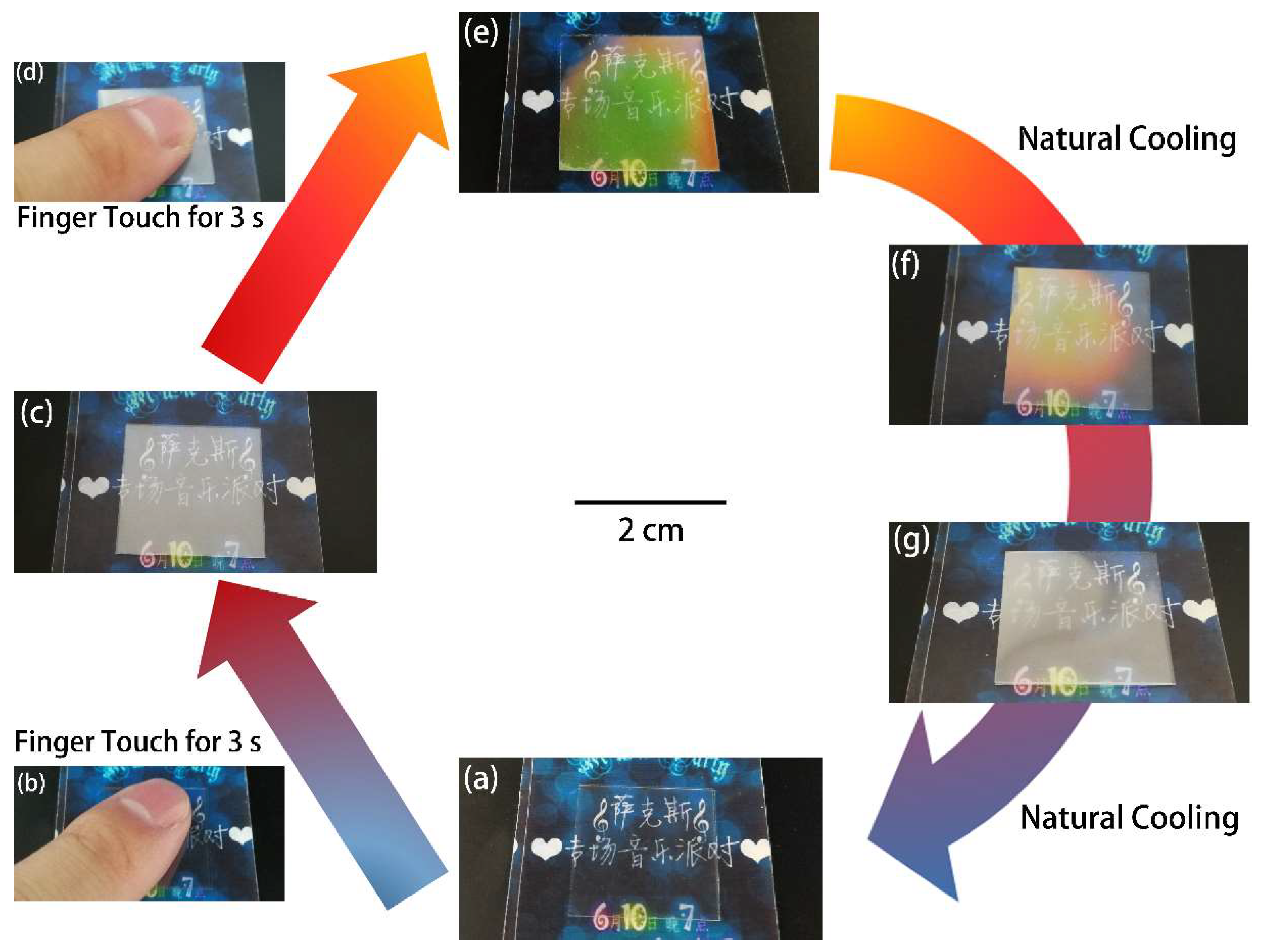 Molecules 25 00521 g005