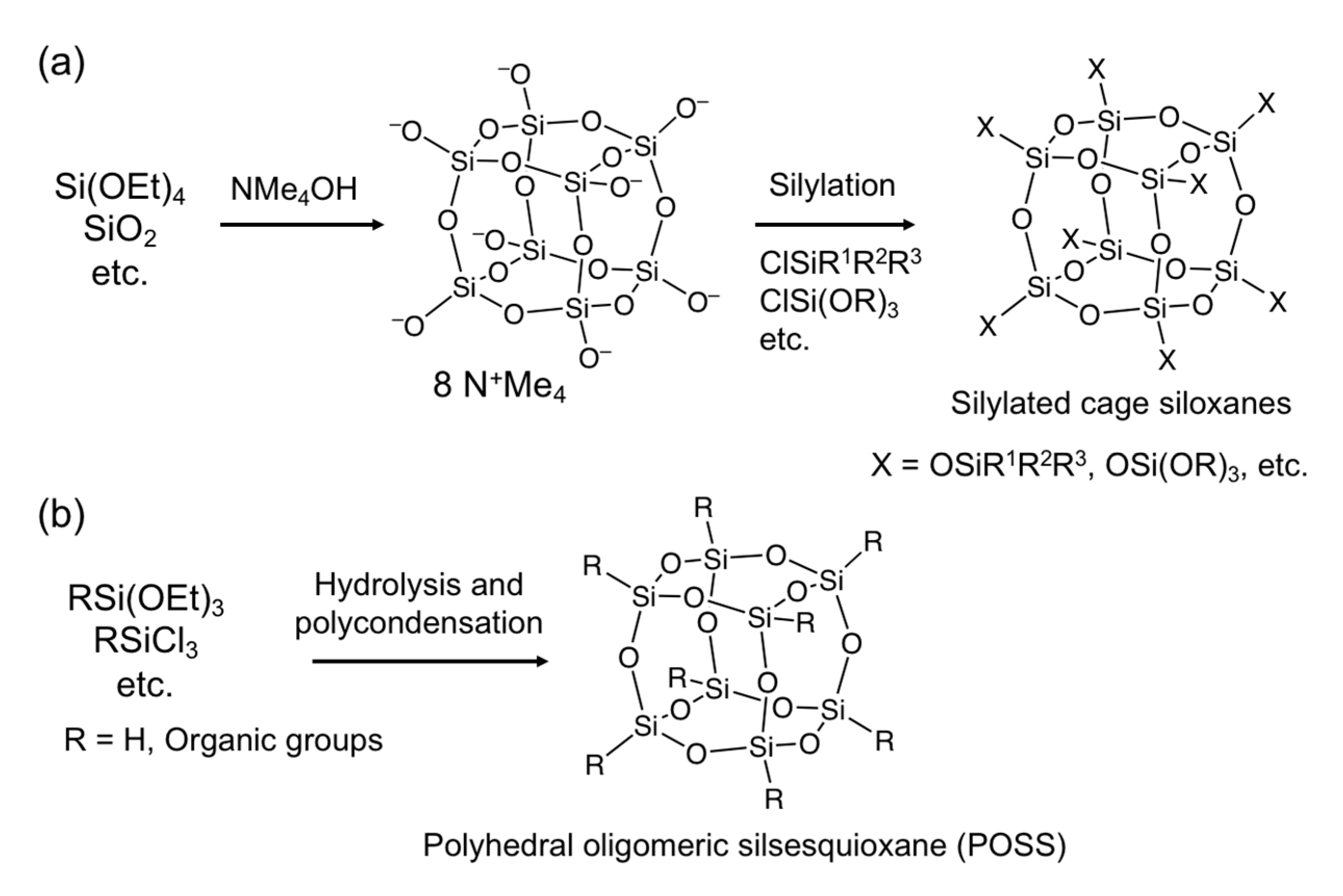 Molecules 25 00524 g002