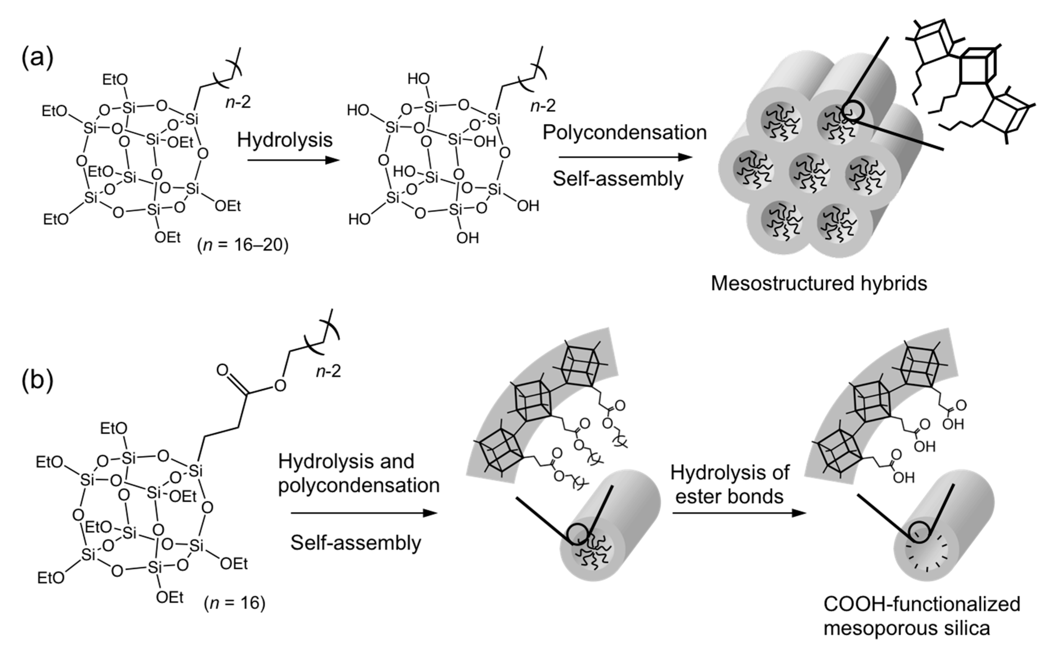 Molecules 25 00524 g004