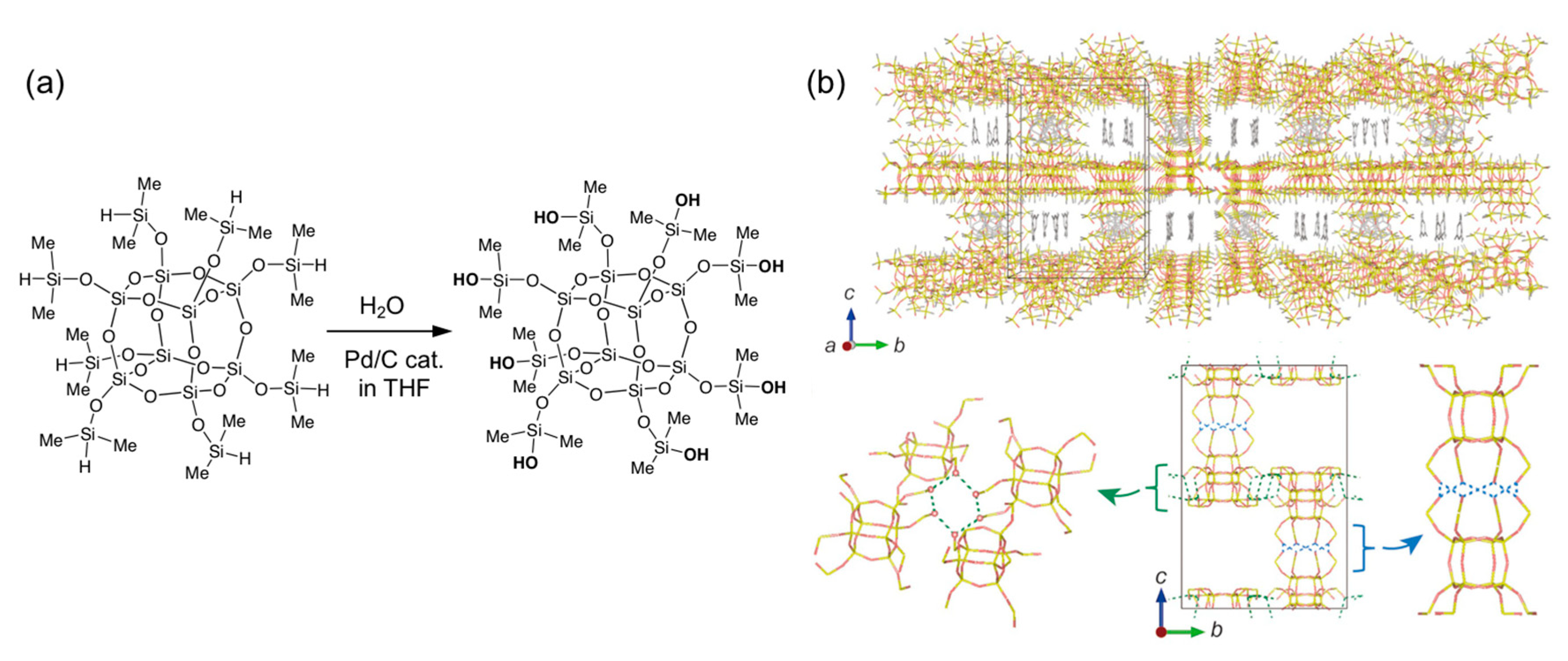 Molecules 25 00524 g005