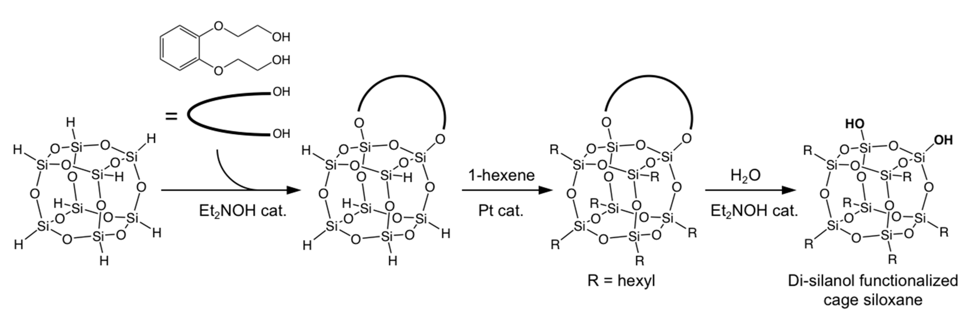 Molecules 25 00524 g006