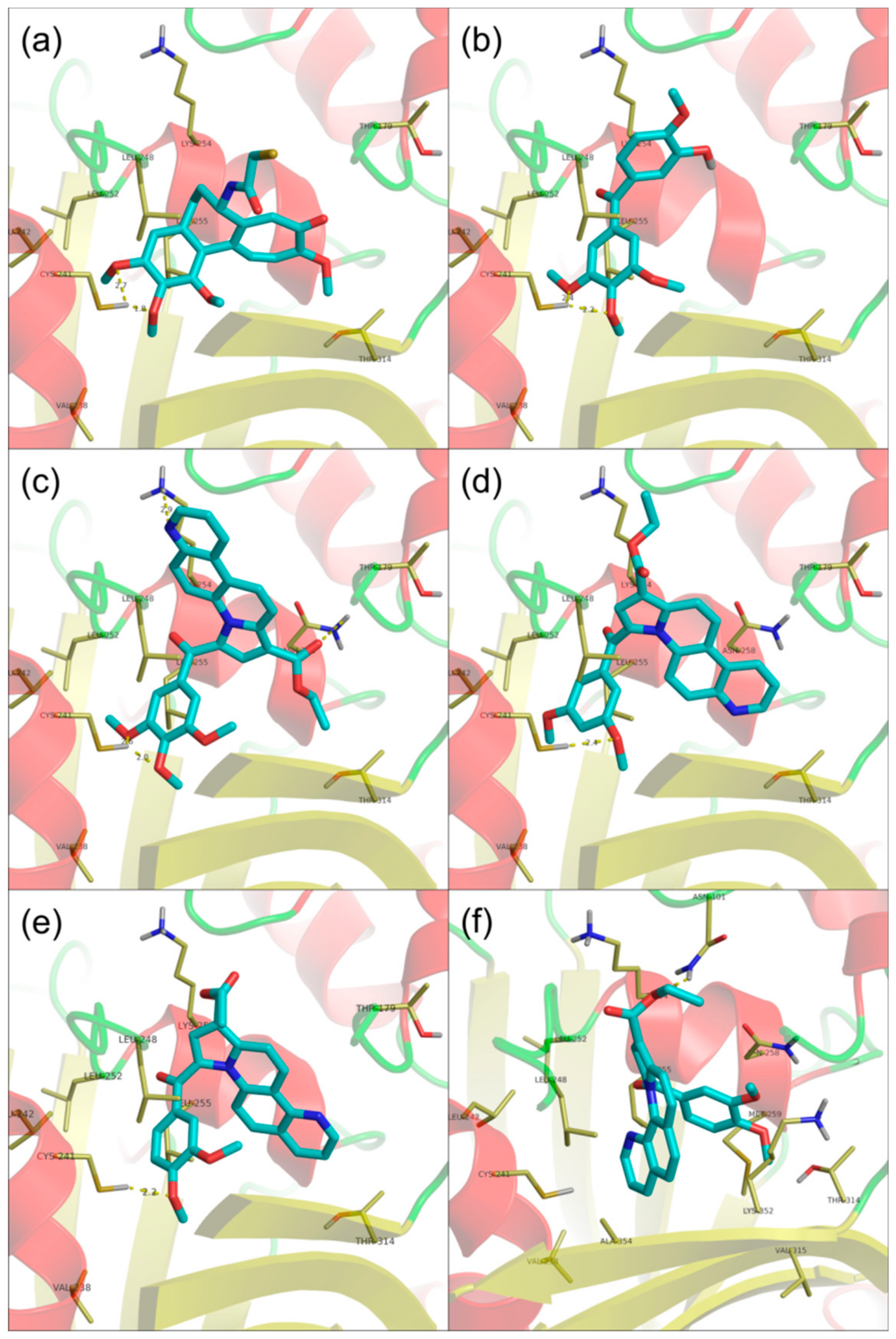 Molecules 25 00527 g002 Molecules 25 00527 g002