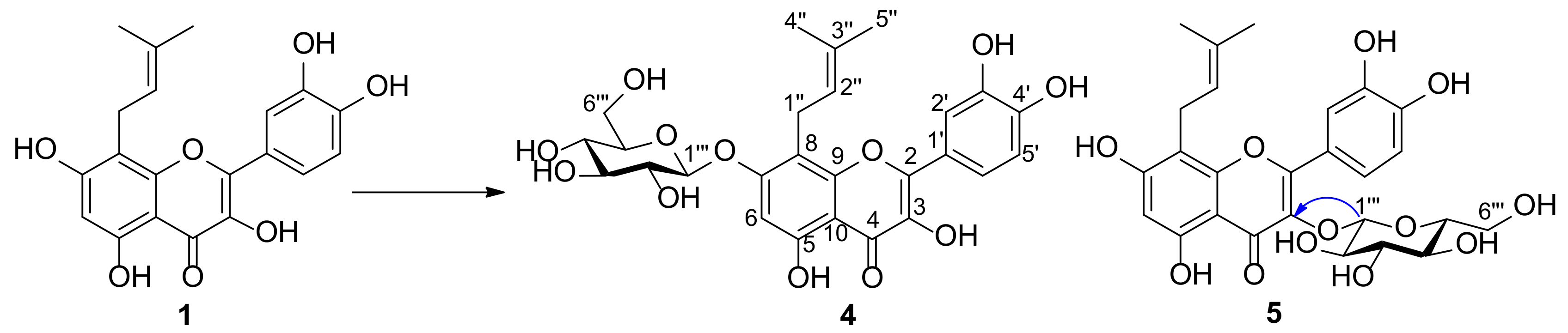 Molecules 25 00528 sch002