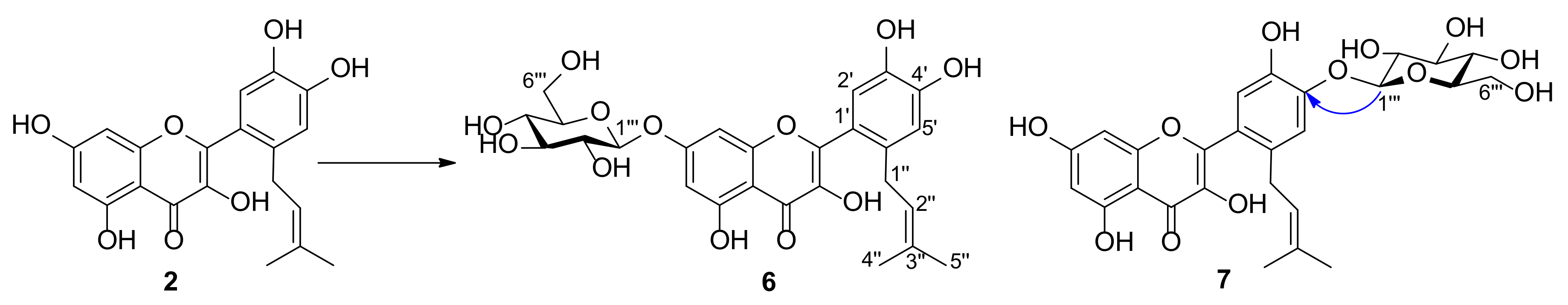 Molecules 25 00528 sch003