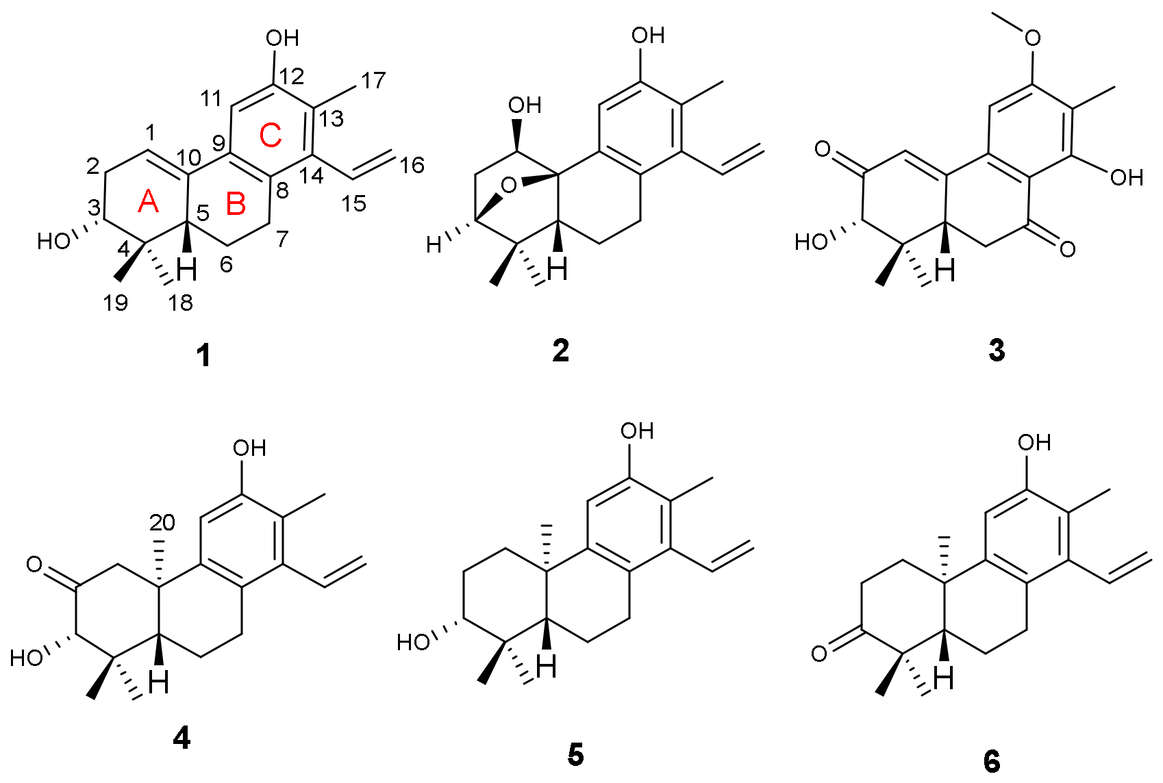 Molecules 25 00529 g001