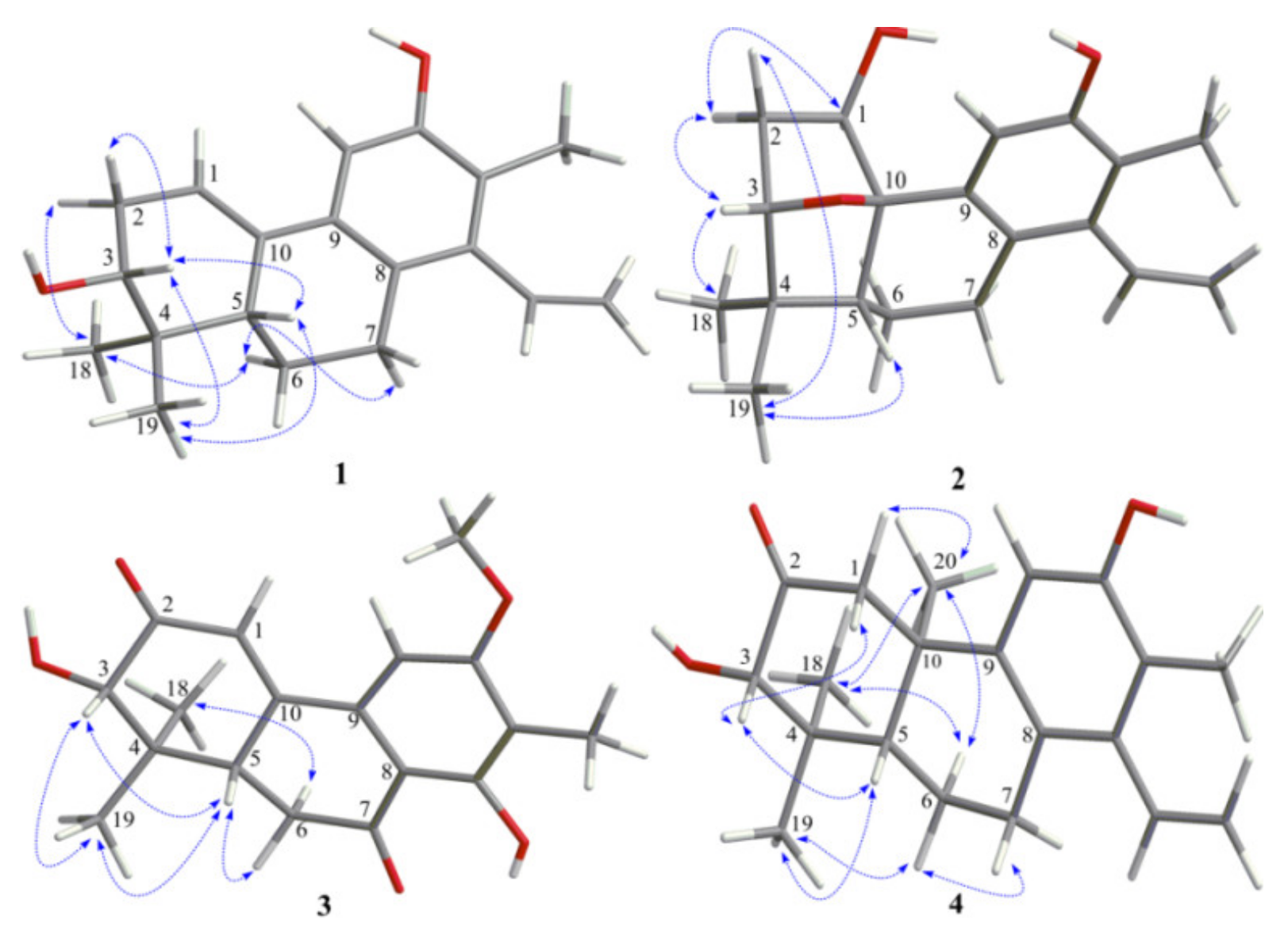 Molecules 25 00529 g003