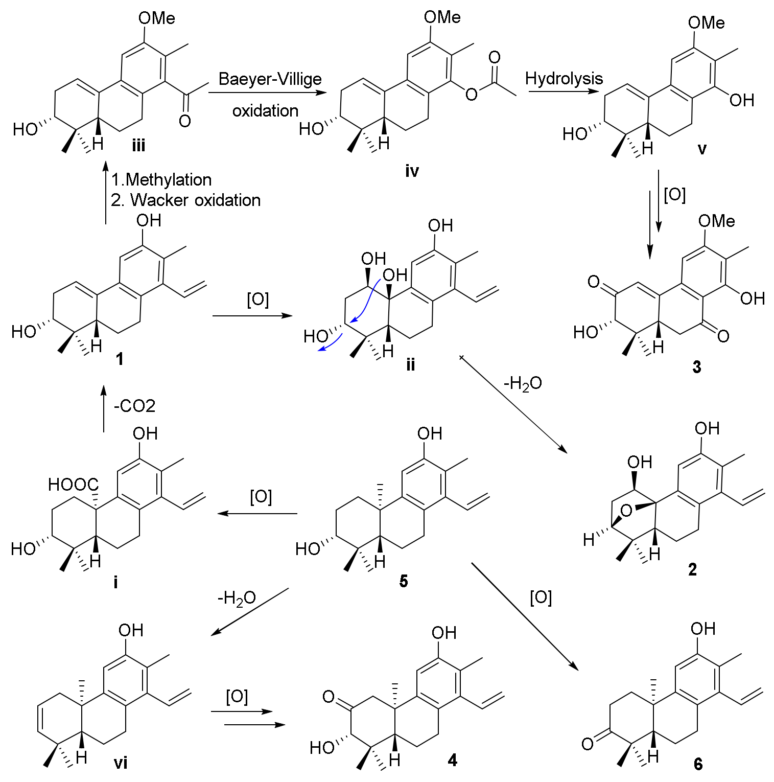 Molecules 25 00529 sch001