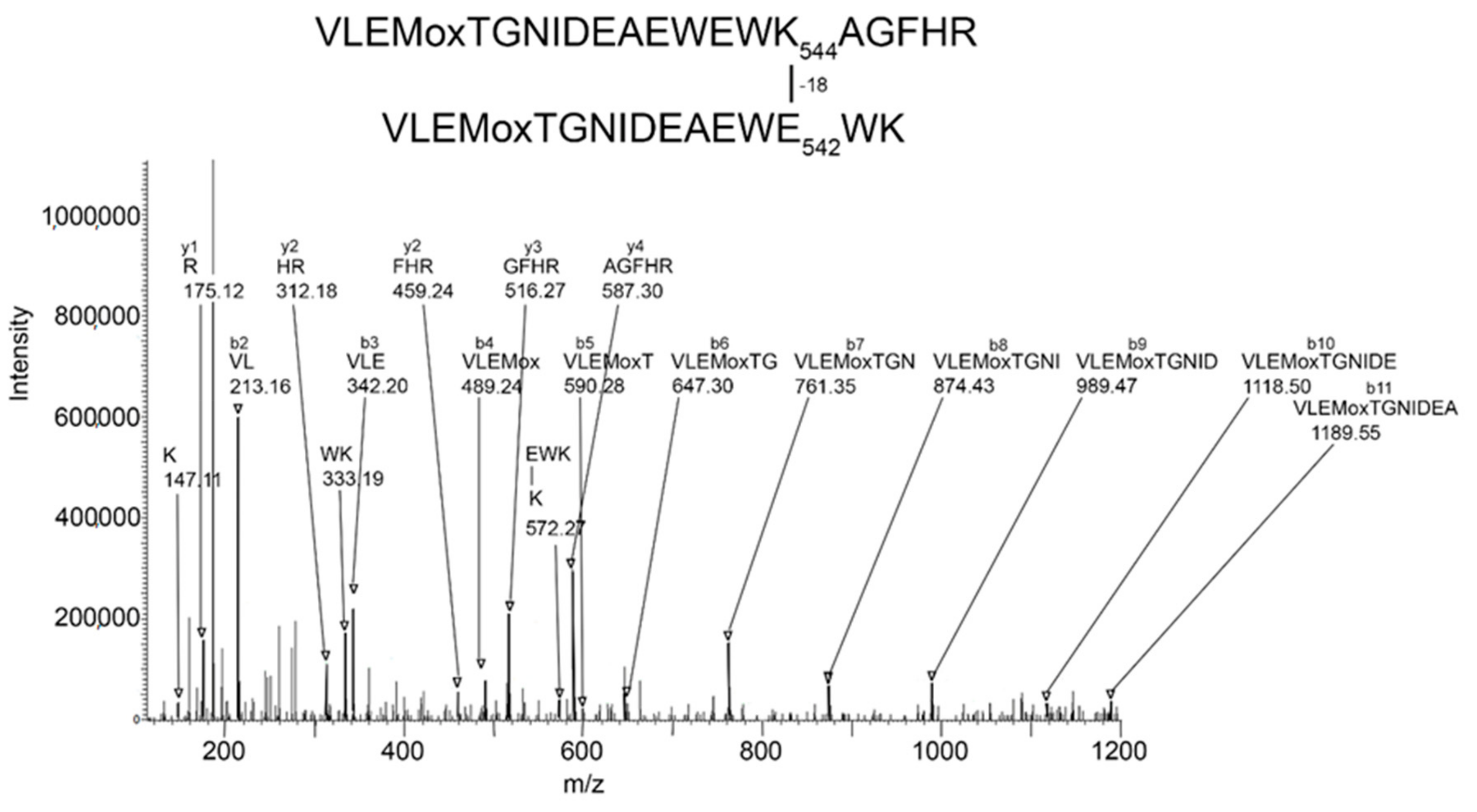 Molecules 25 00533 g003