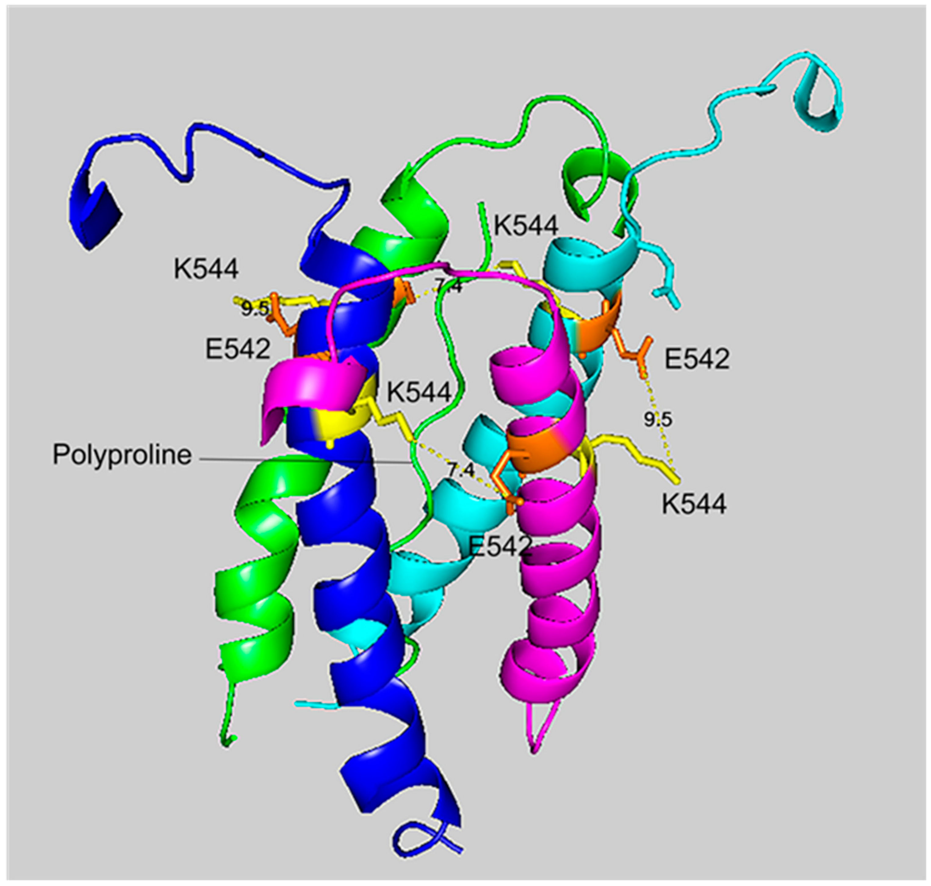 Molecules 25 00533 g005