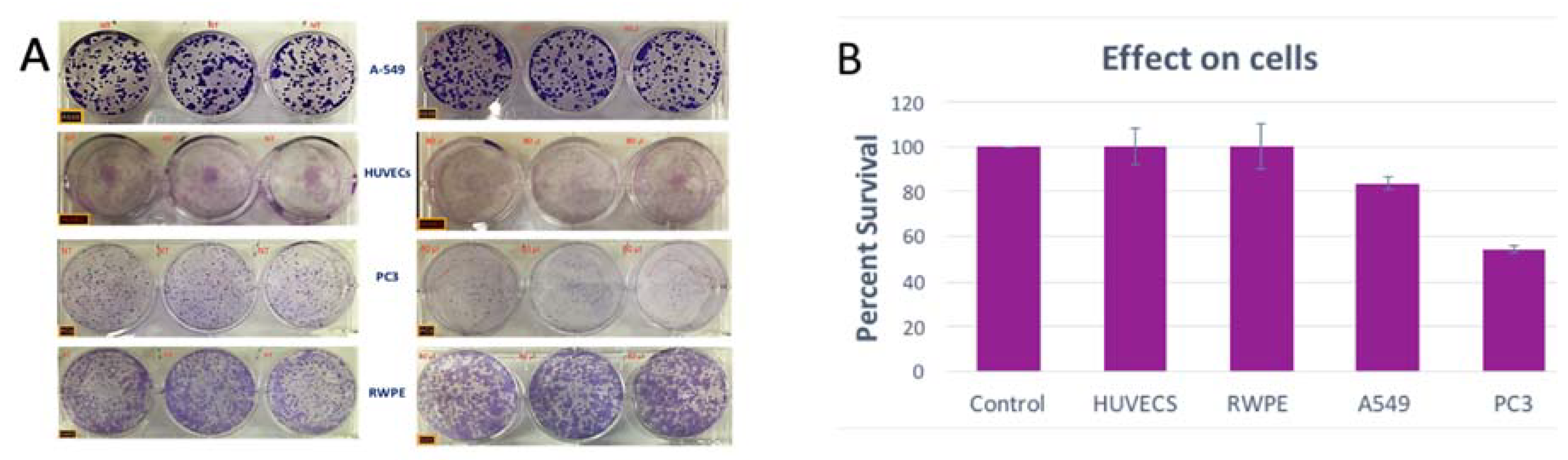 Molecules 25 00534 g003