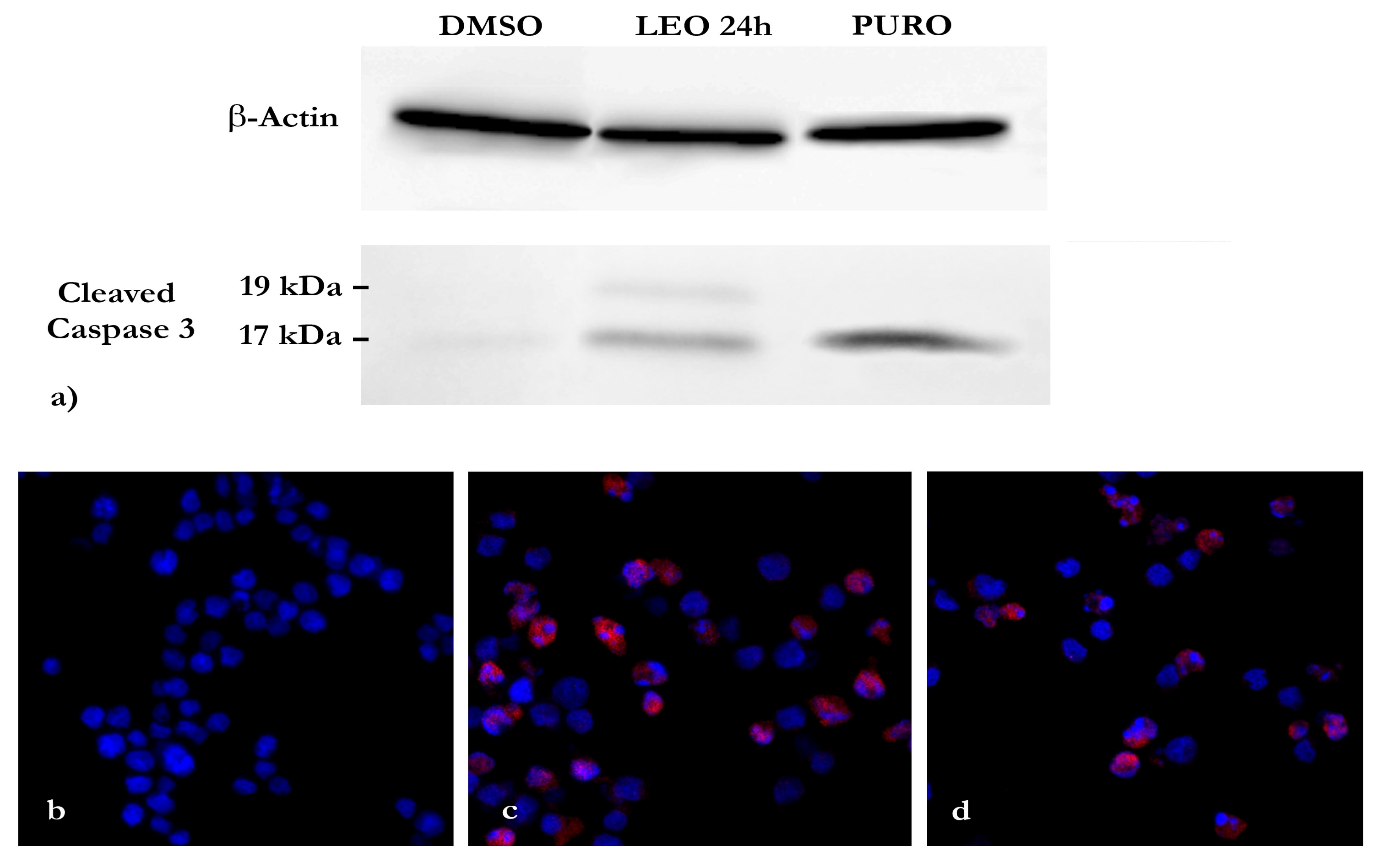 Molecules 25 00538 g003