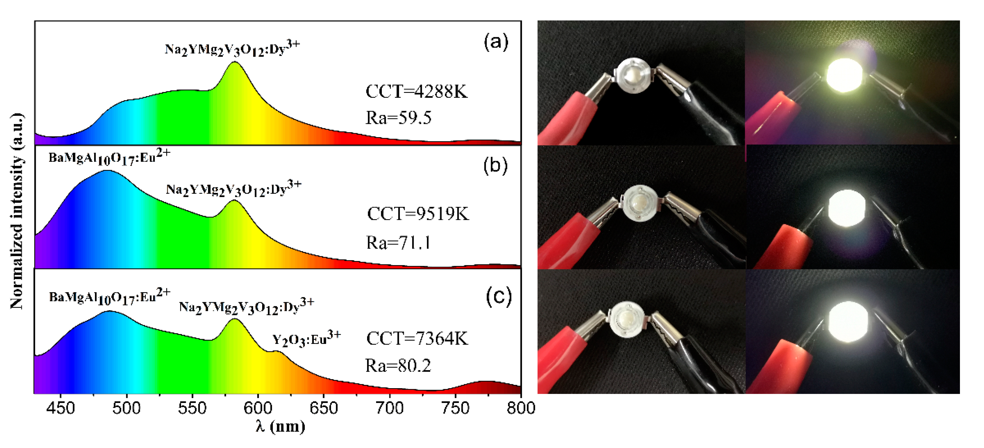 Molecules 25 00542 g006