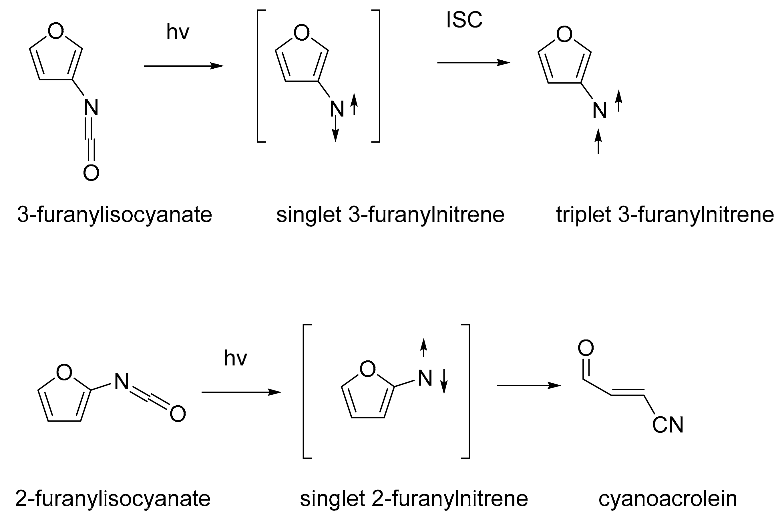 Molecules 25 00543 sch006 Molecules 25 00543 sch006