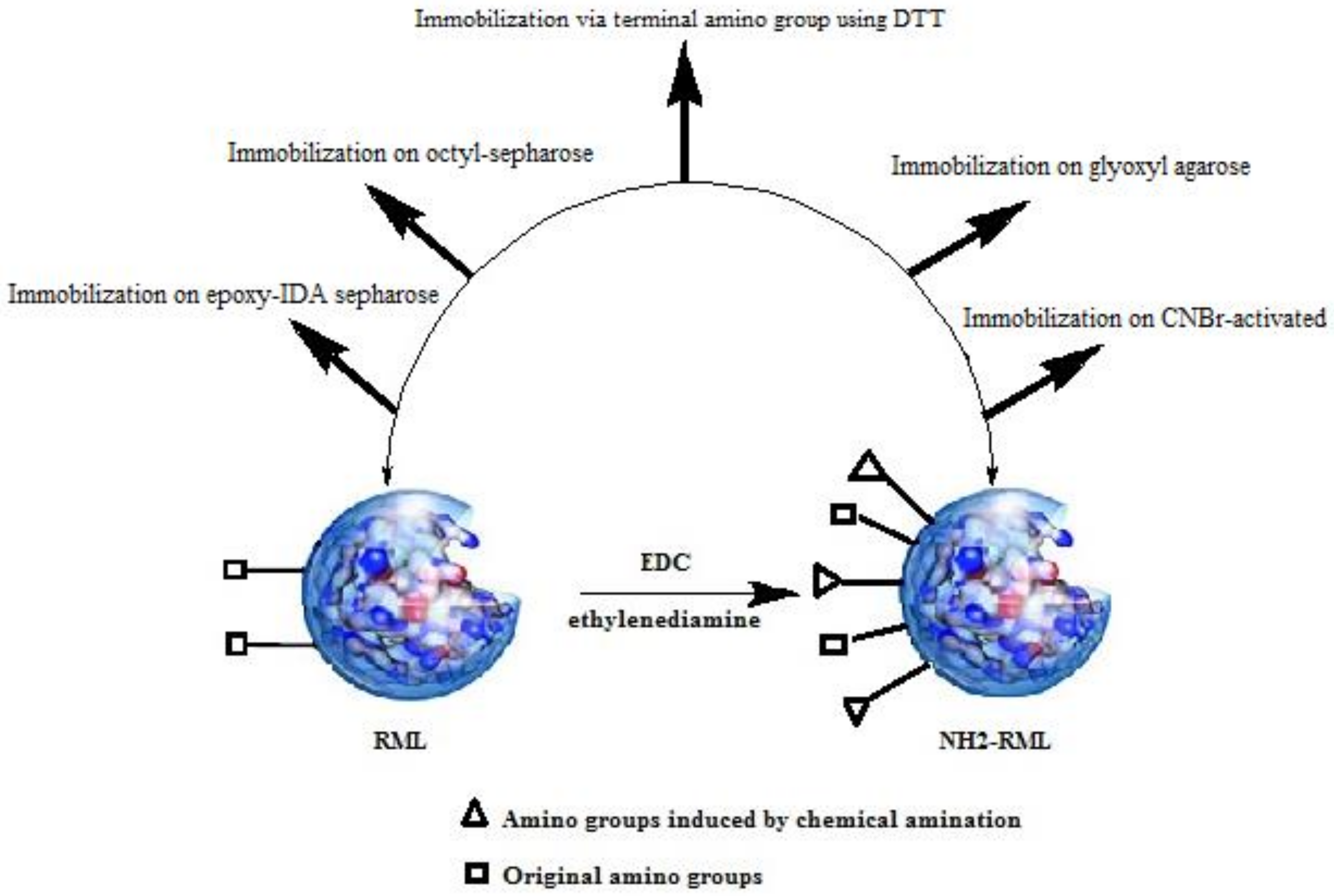 Molecules 25 00545 g001 Molecules 25 00545 g001