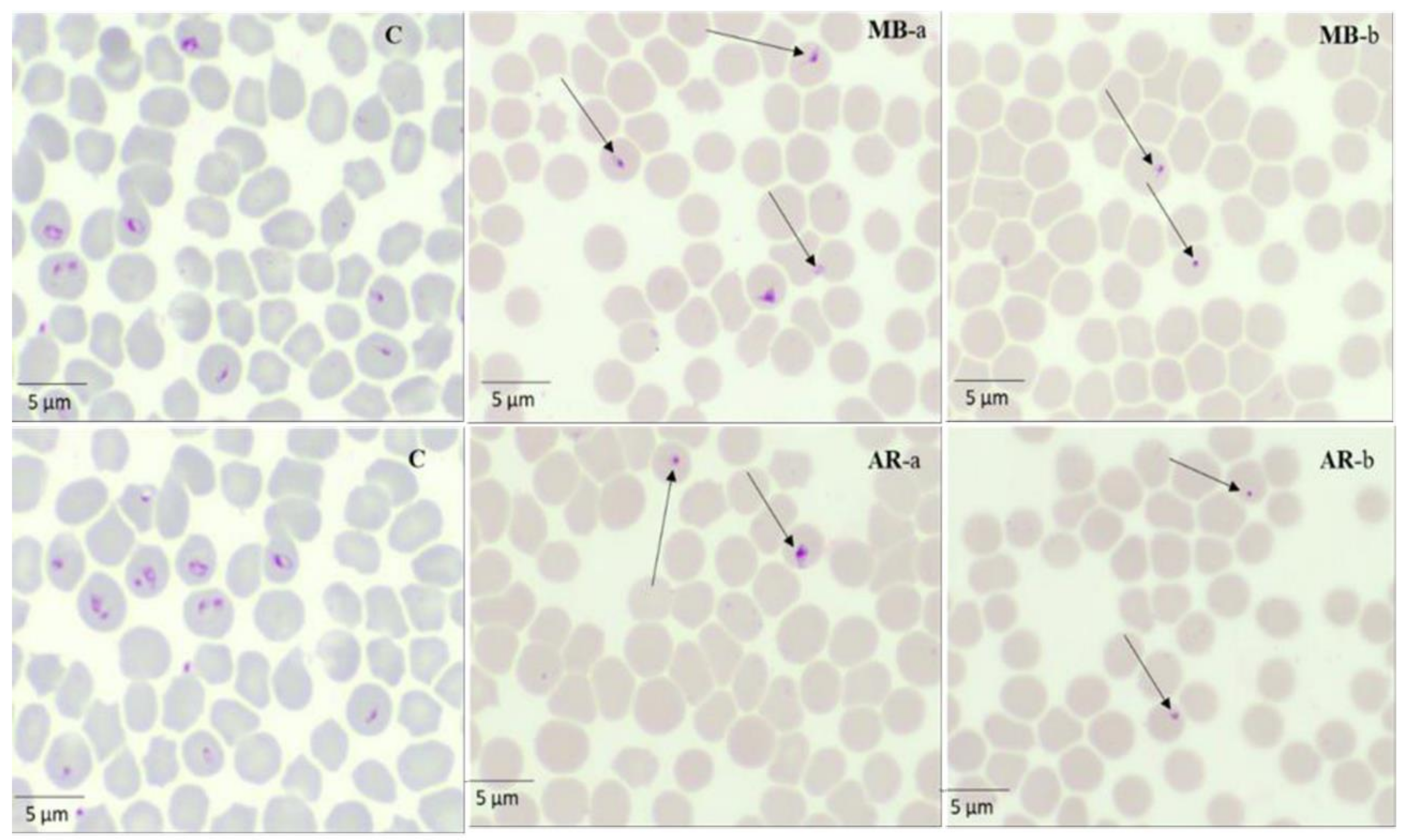 Molecules 25 00550 g003