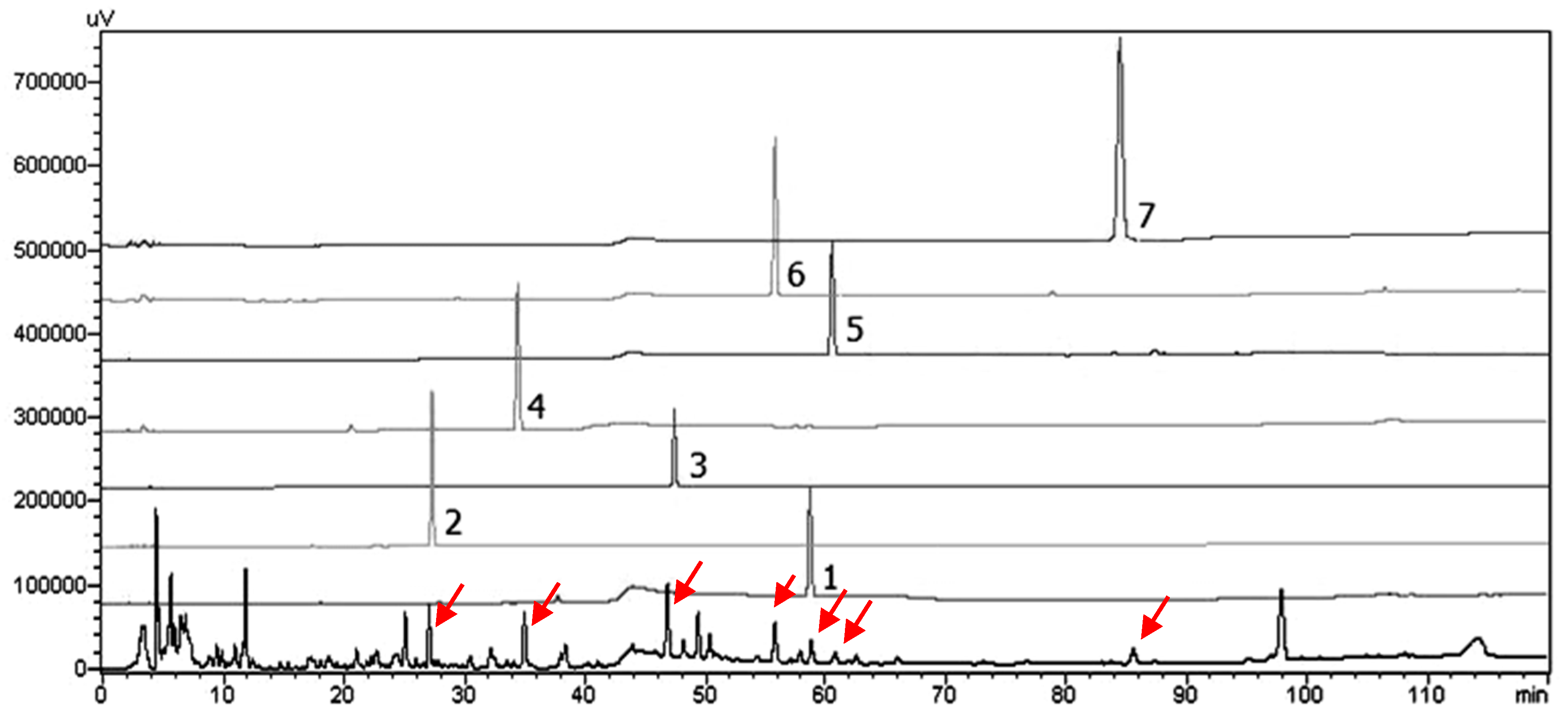 Molecules 25 00551 g004