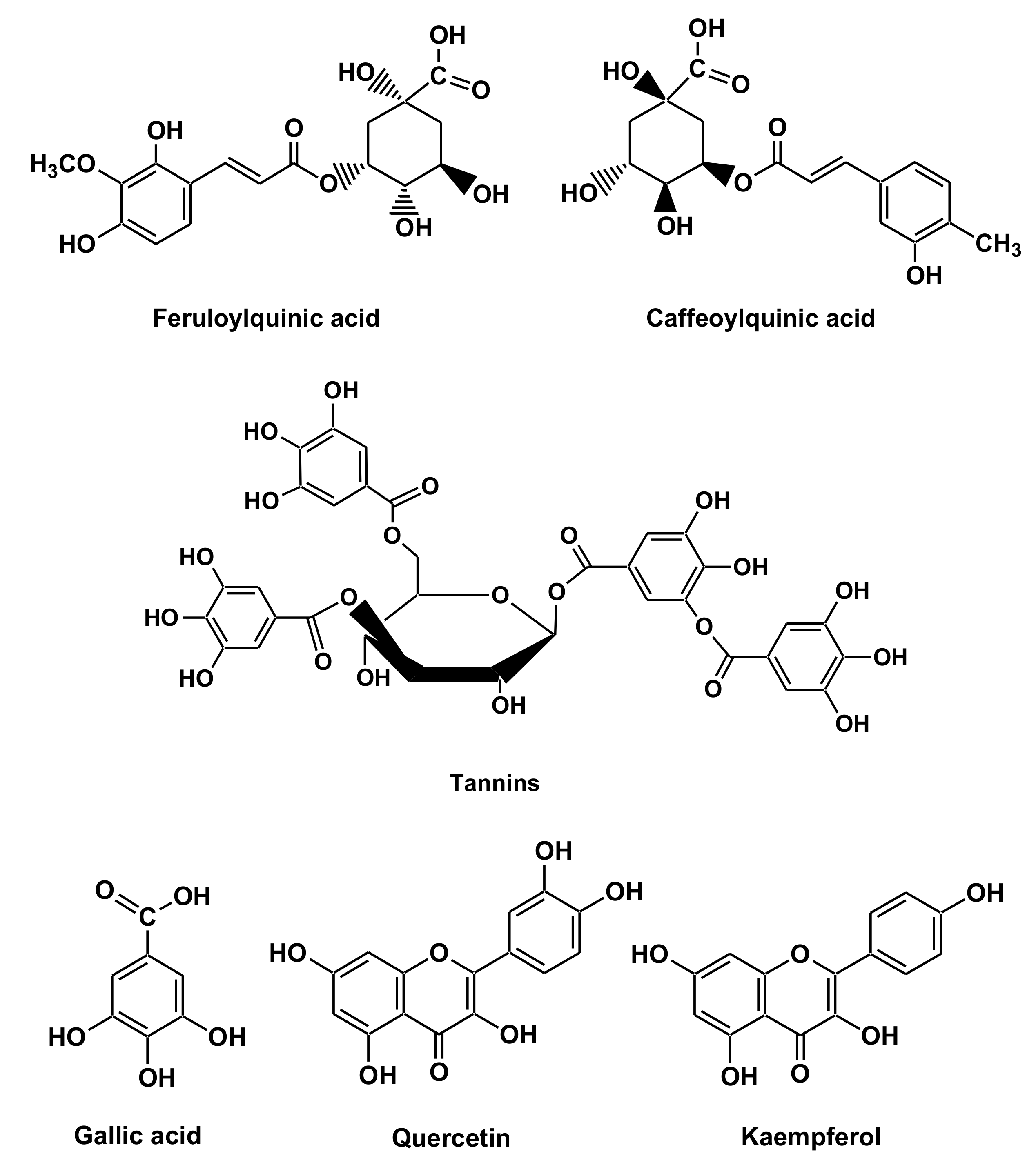 Molecules 25 00555 g001