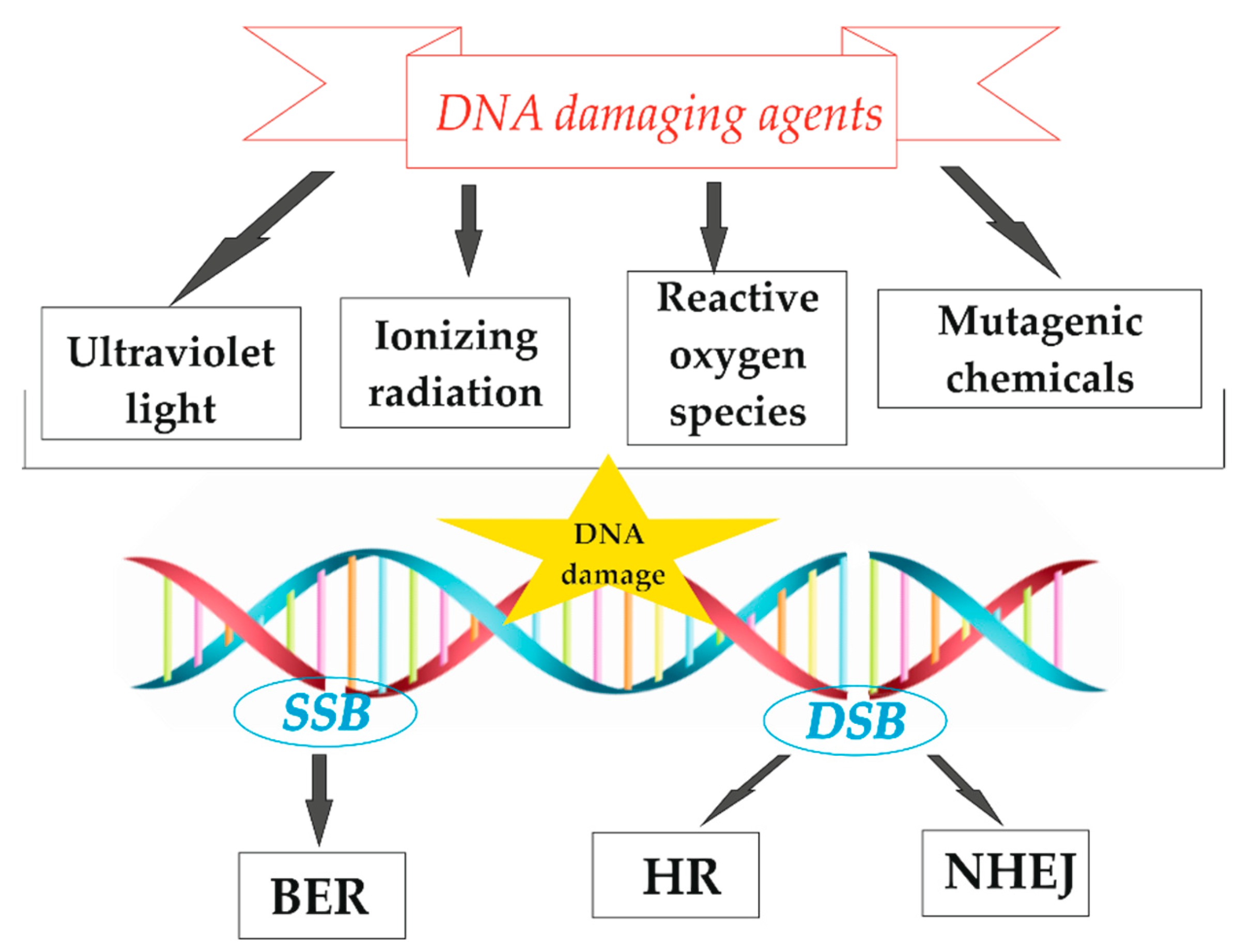 Molecules 25 00561 g001