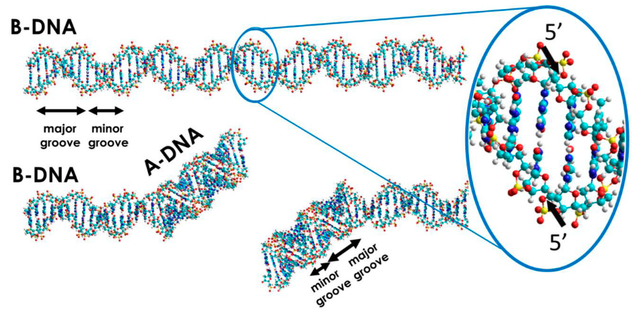 Molecules 25 00561 g002