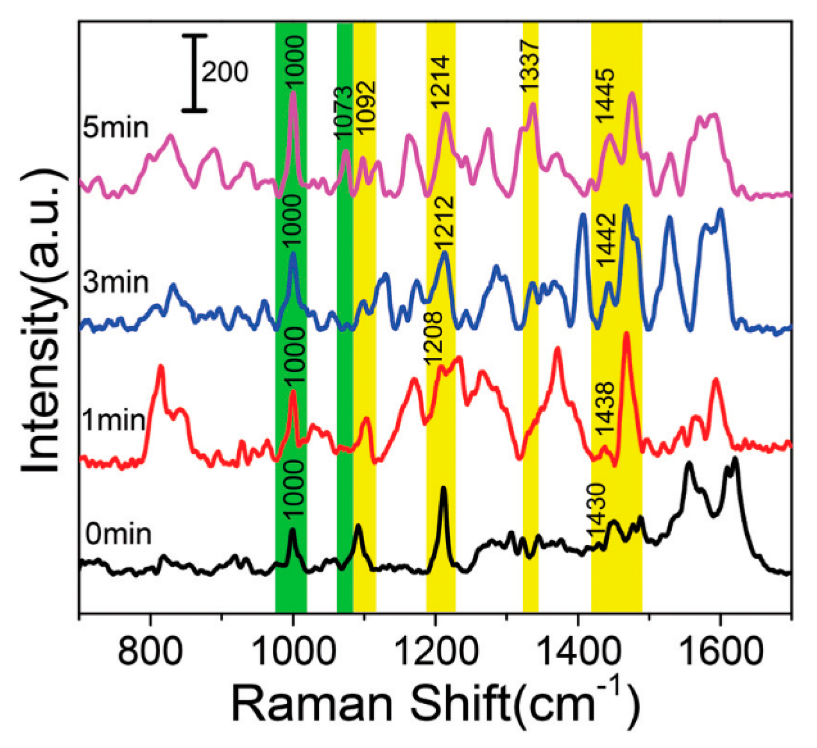 Molecules 25 00561 g004
