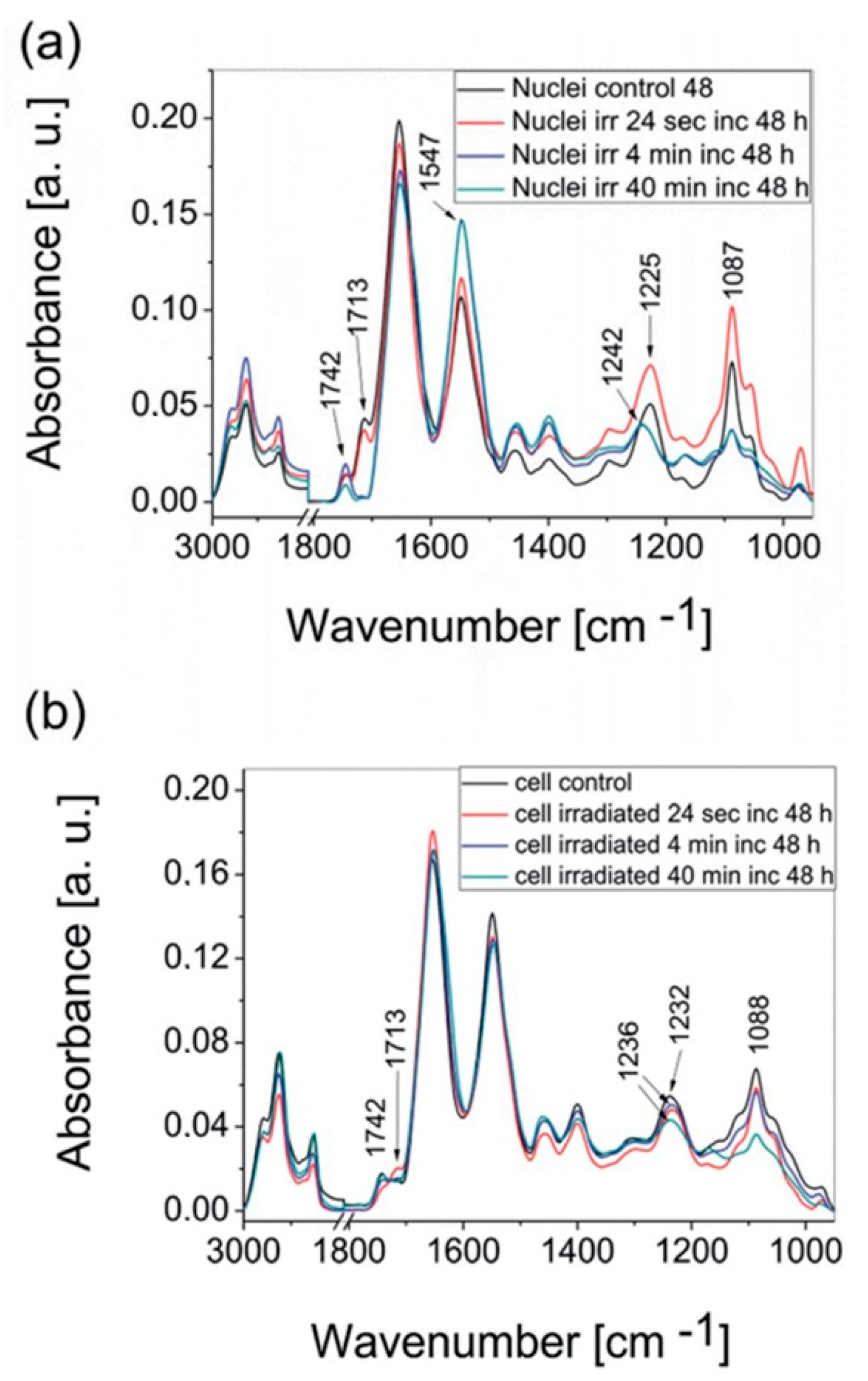 Molecules 25 00561 g005
