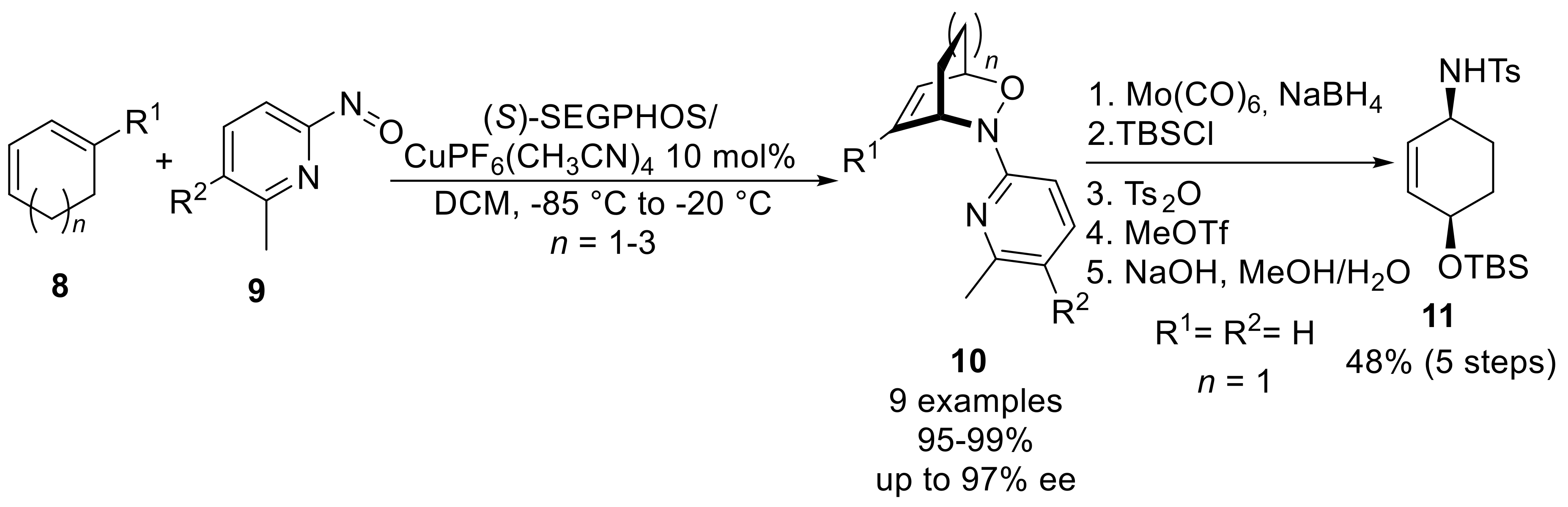 Molecules 25 00563 sch005 Molecules 25 00563 sch005