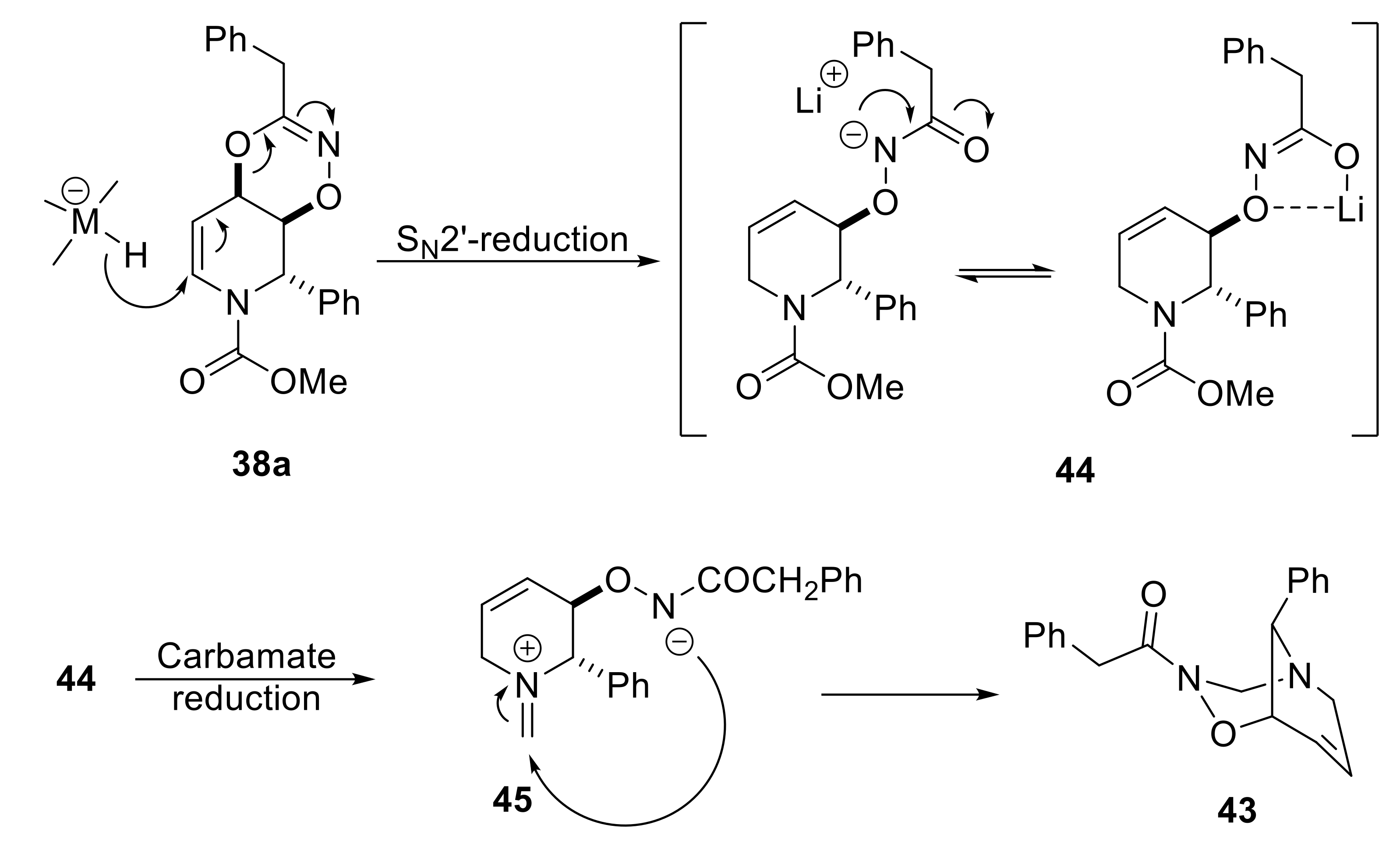 Molecules 25 00563 sch022 Molecules 25 00563 sch022