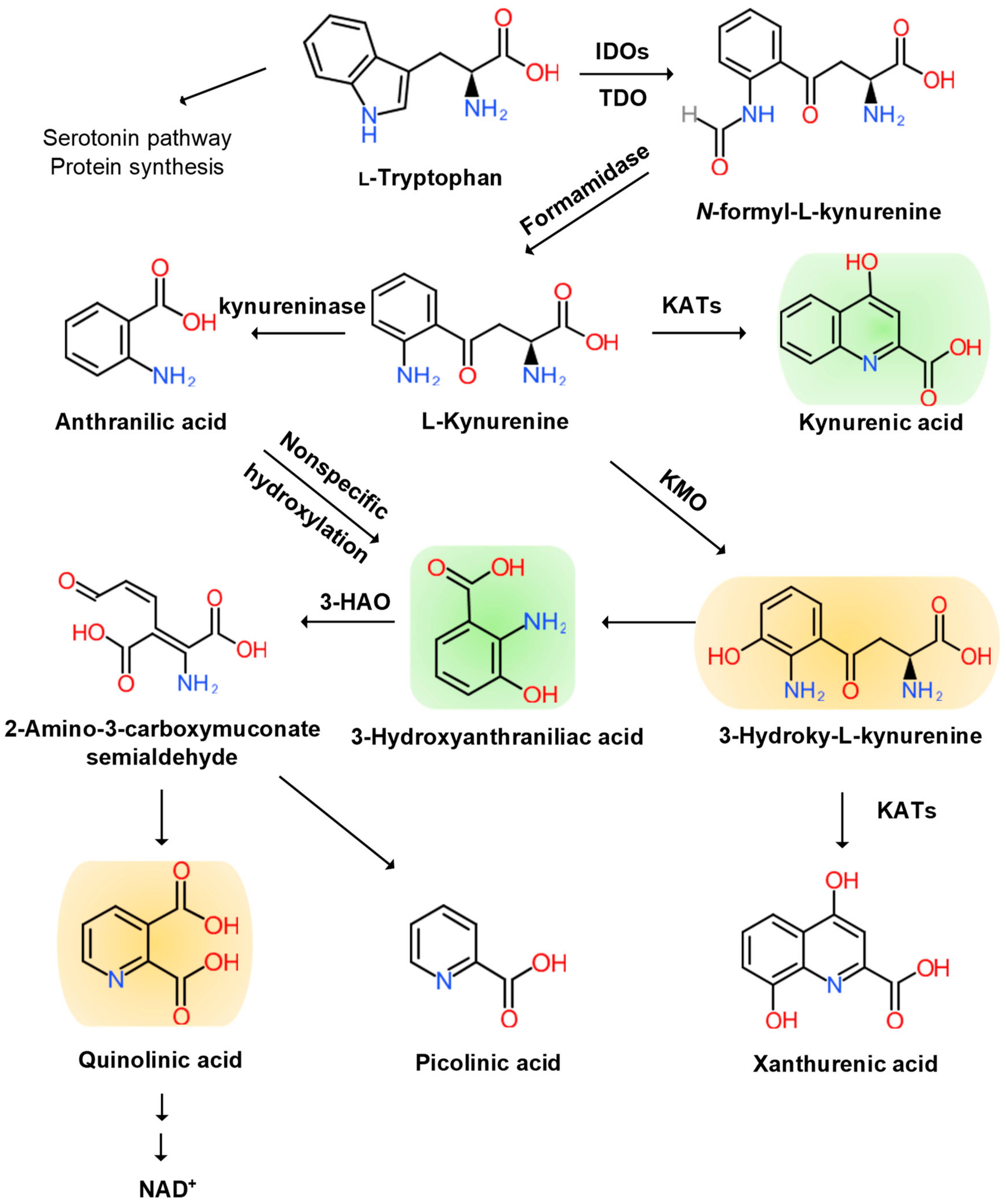 Molecules 25 00564 g002