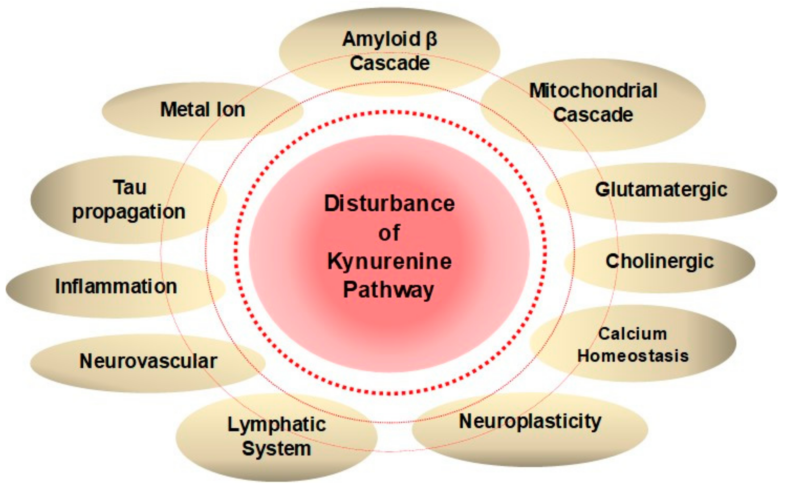 Molecules 25 00564 g003