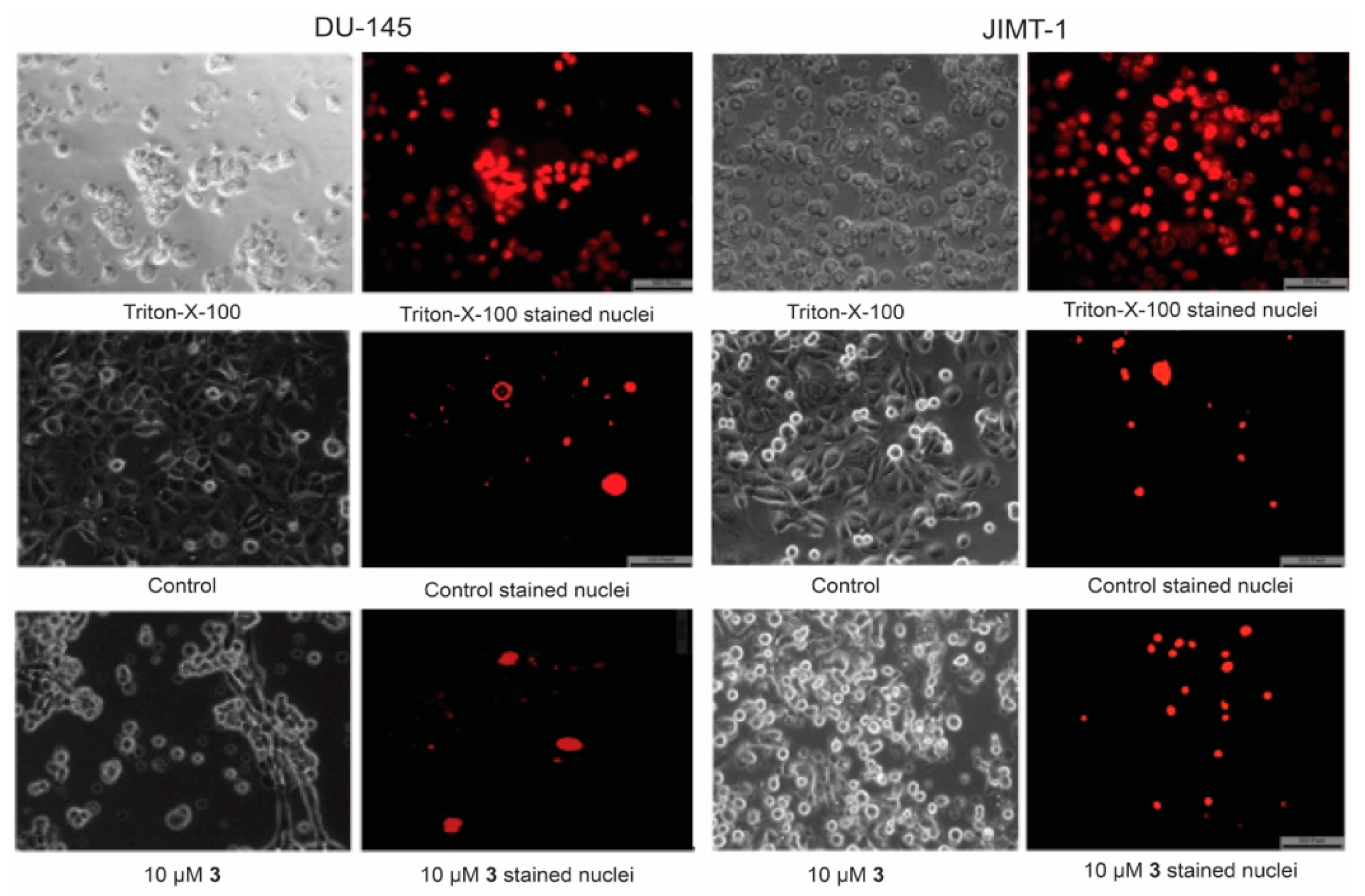 Molecules 25 00566 g005 Molecules 25 00566 g005