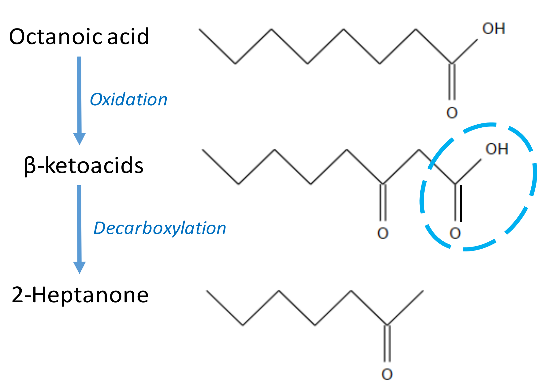 Molecules 25 00569 g002
