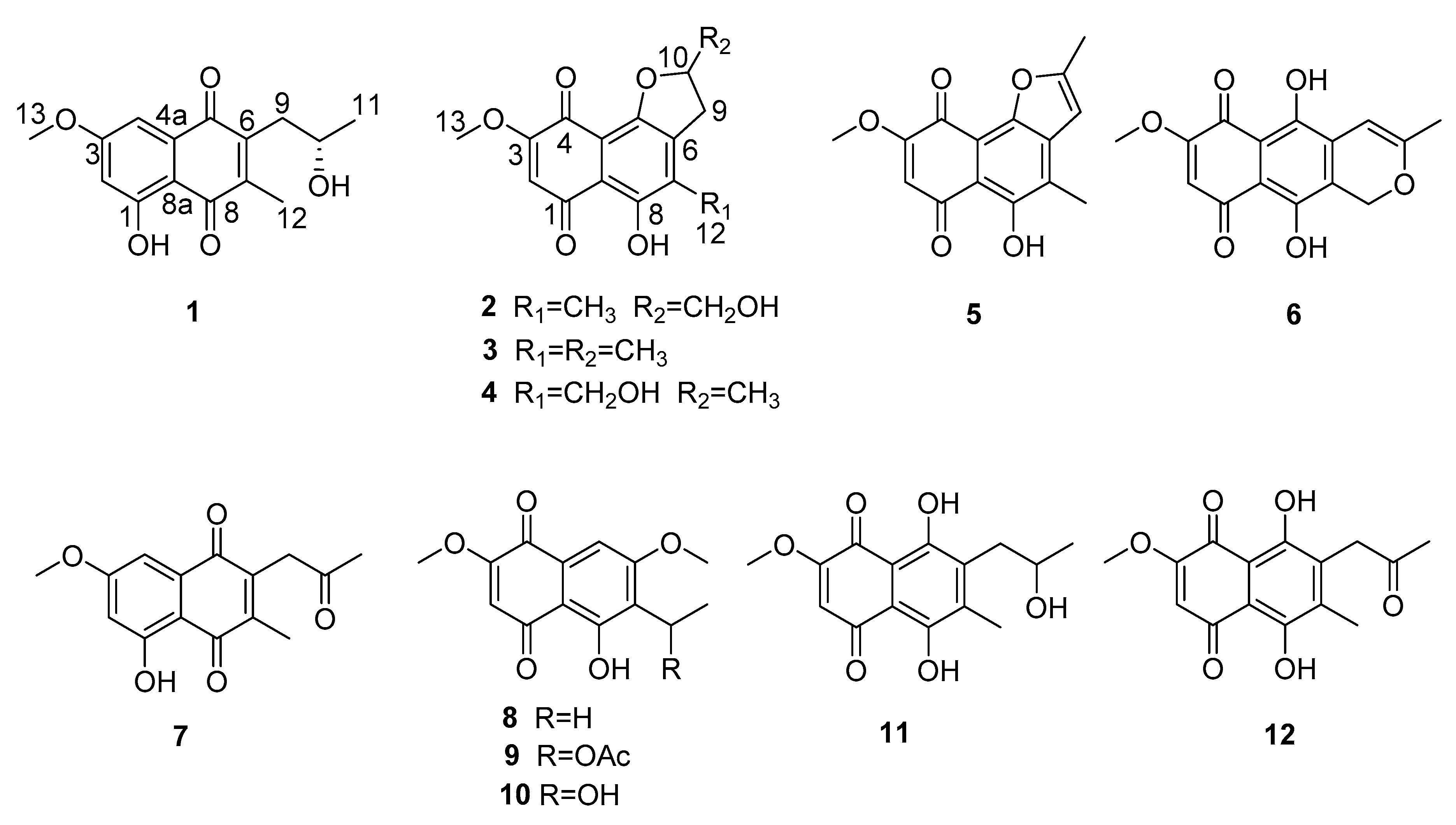 Molecules 25 00576 g001
