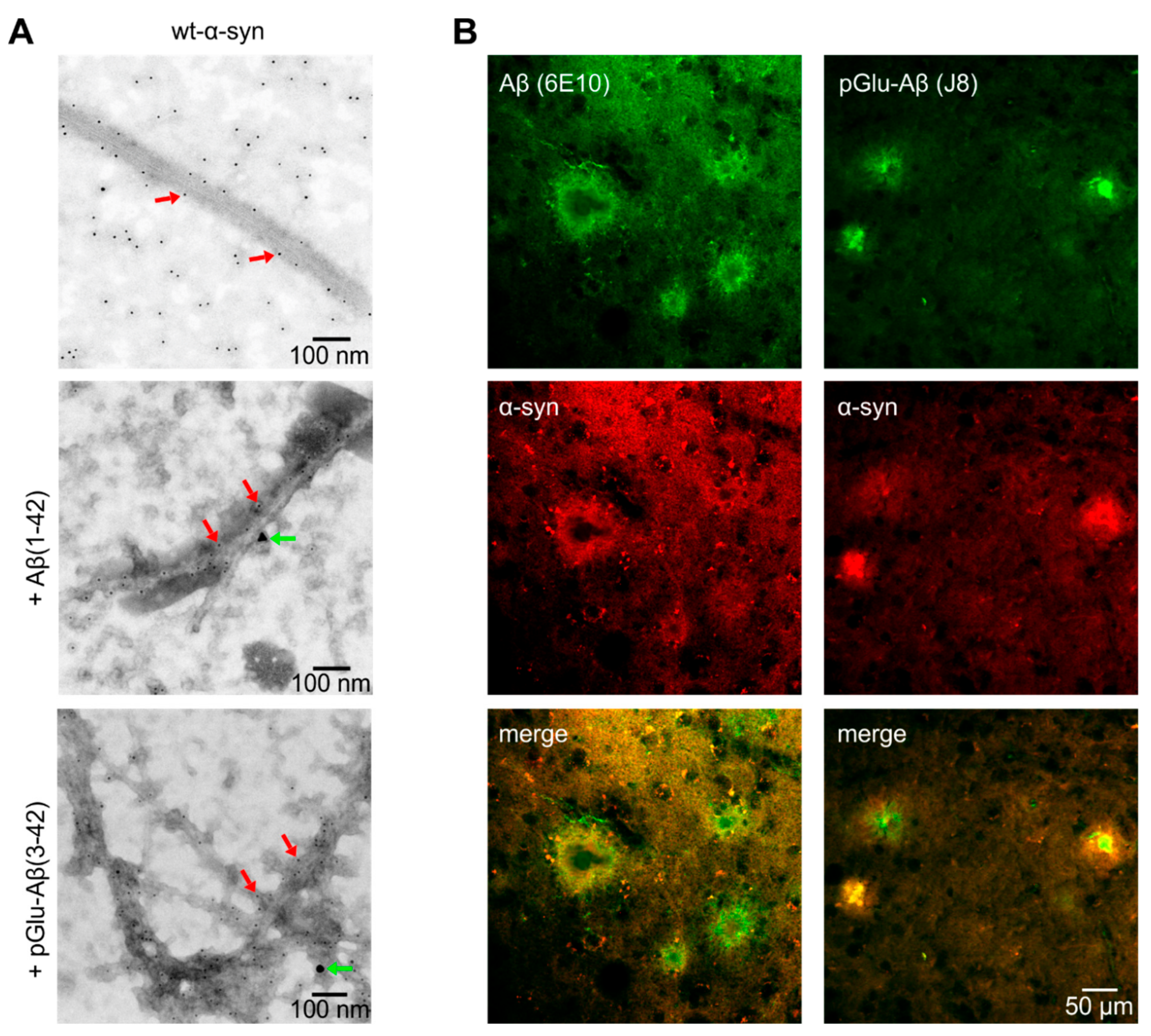Molecules 25 00580 g004 Molecules 25 00580 g004