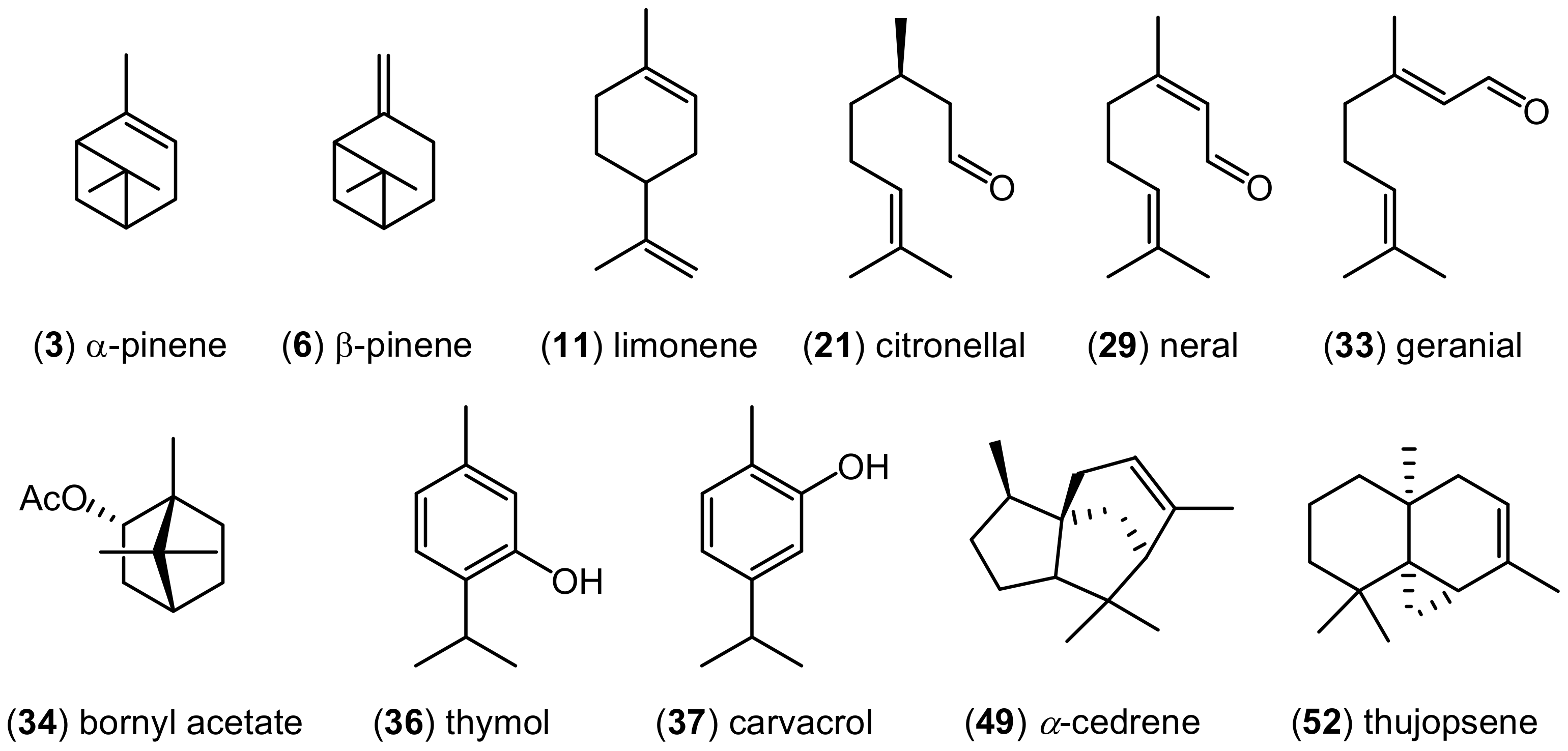 Molecules 25 00586 g001