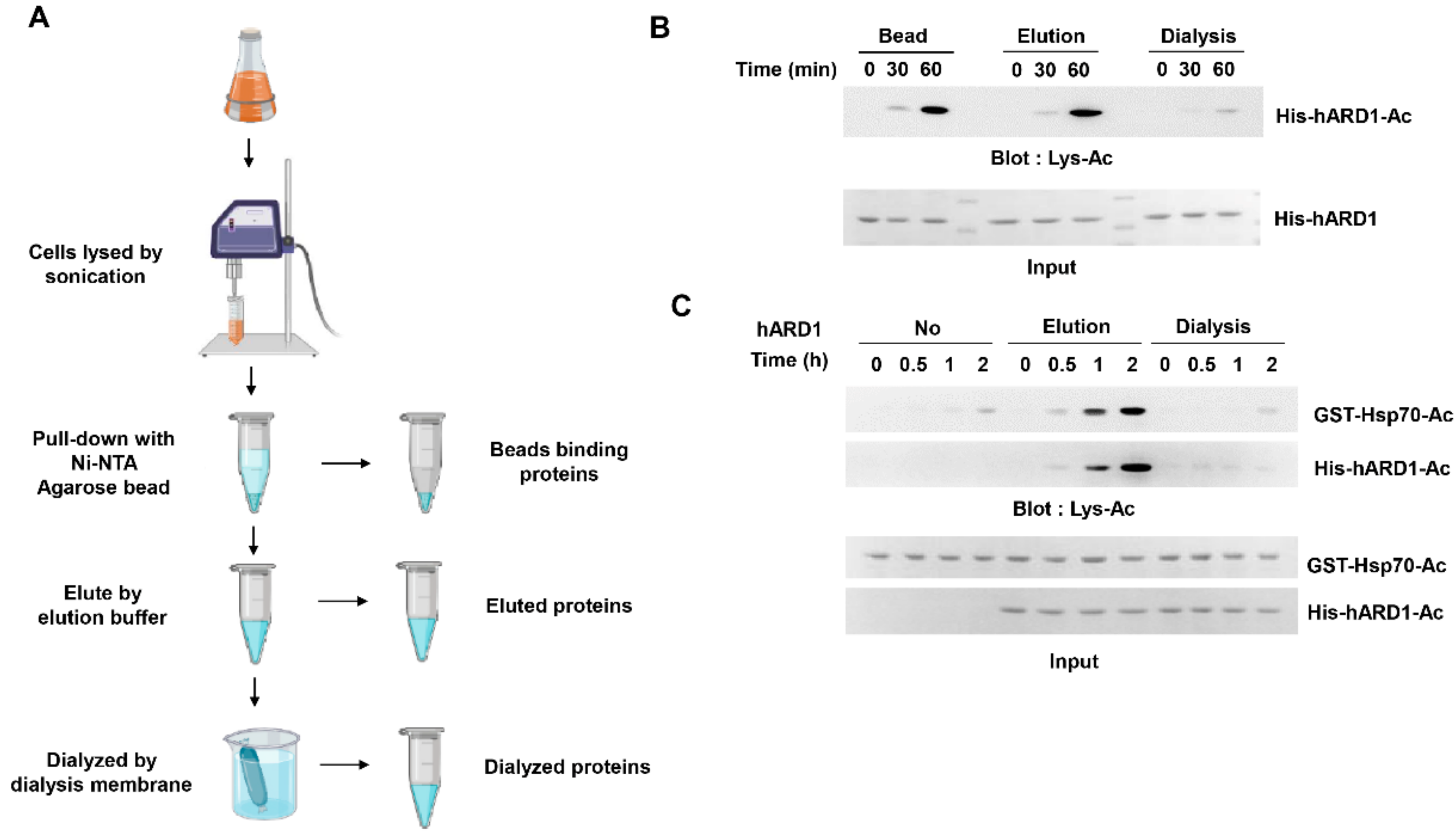 Molecules 25 00588 g001