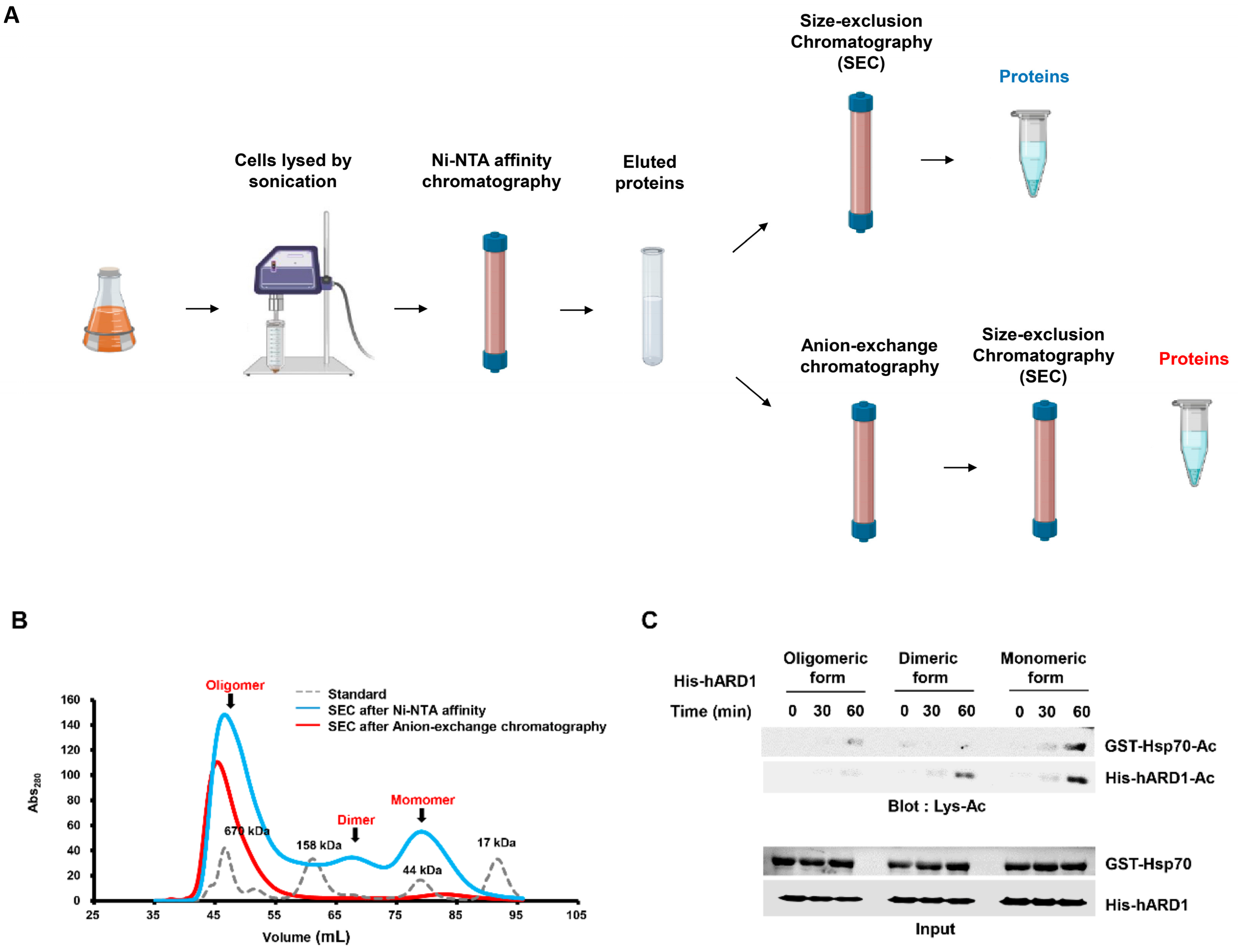 Molecules 25 00588 g002a
