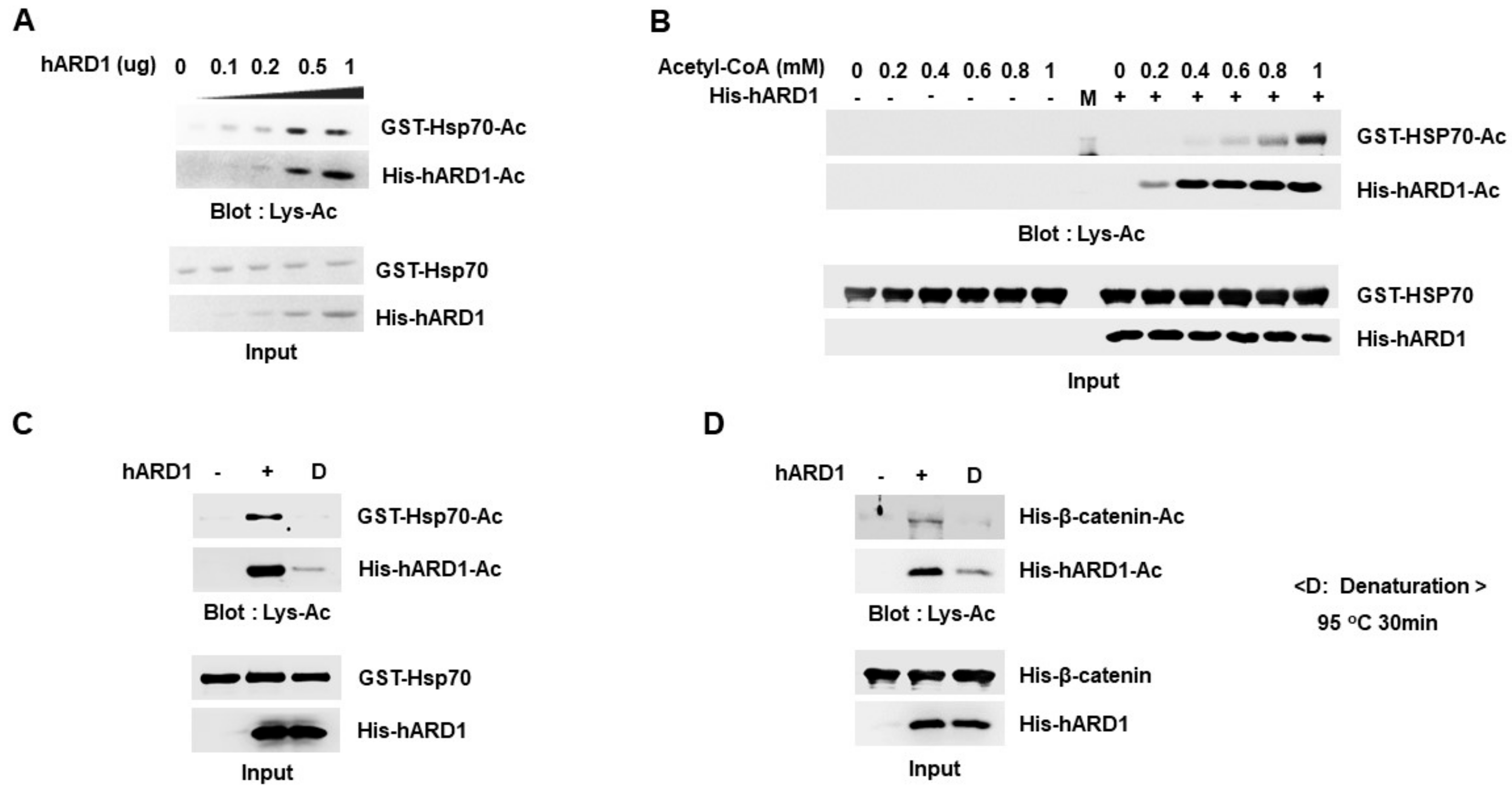 Molecules 25 00588 g004