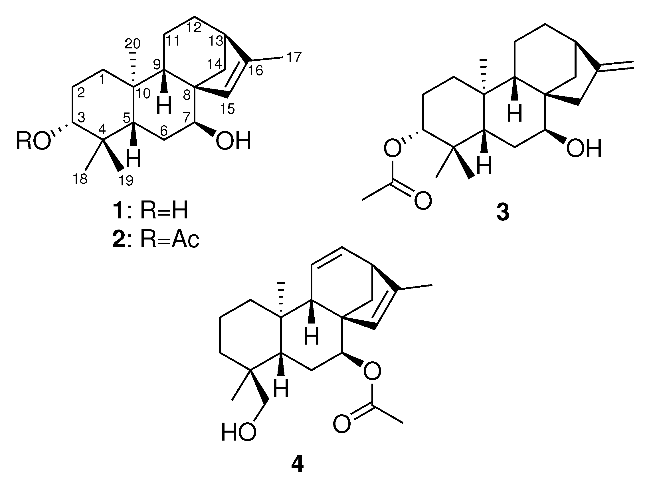 Molecules 25 00589 g001