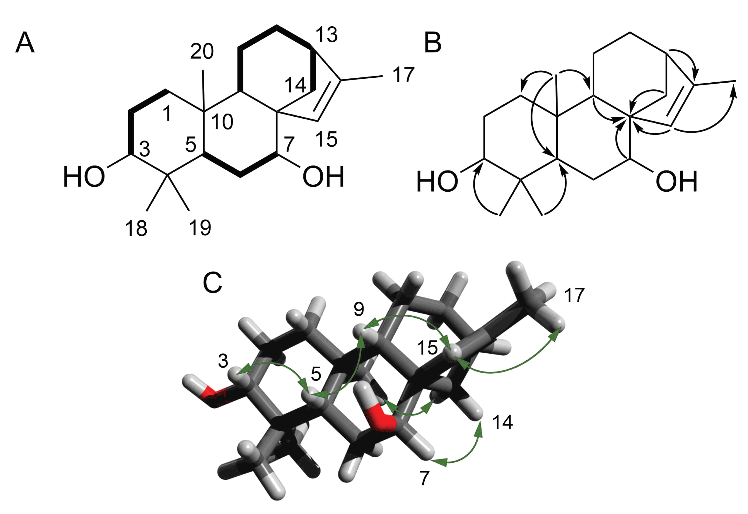 Molecules 25 00589 g002