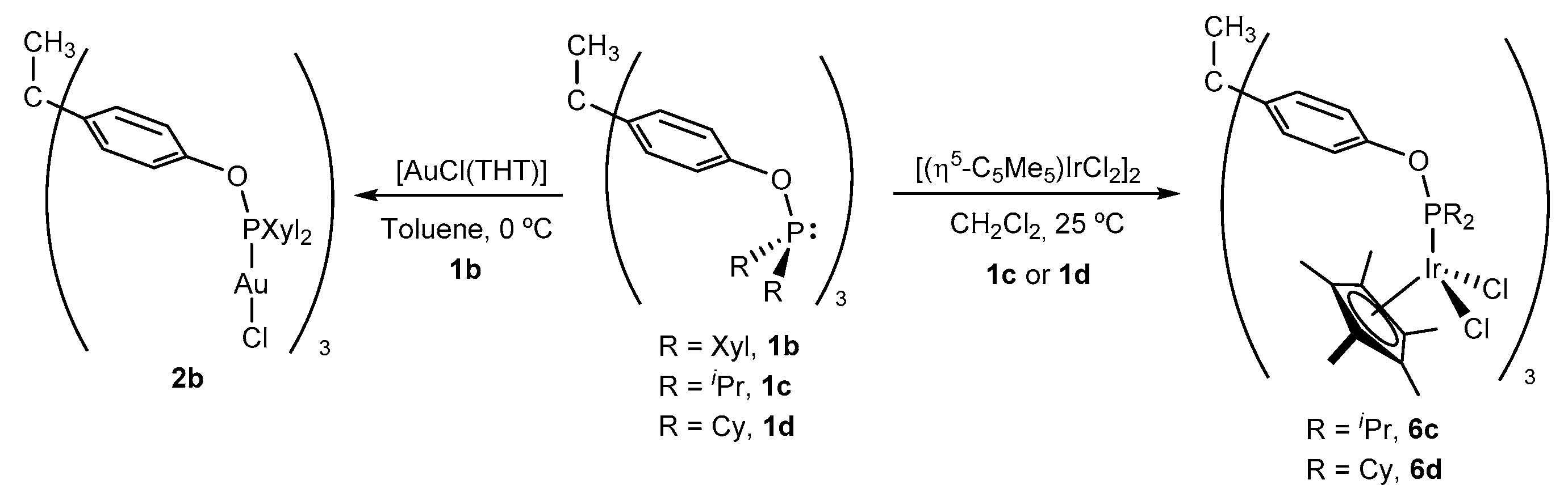 Molecules 25 00593 sch004