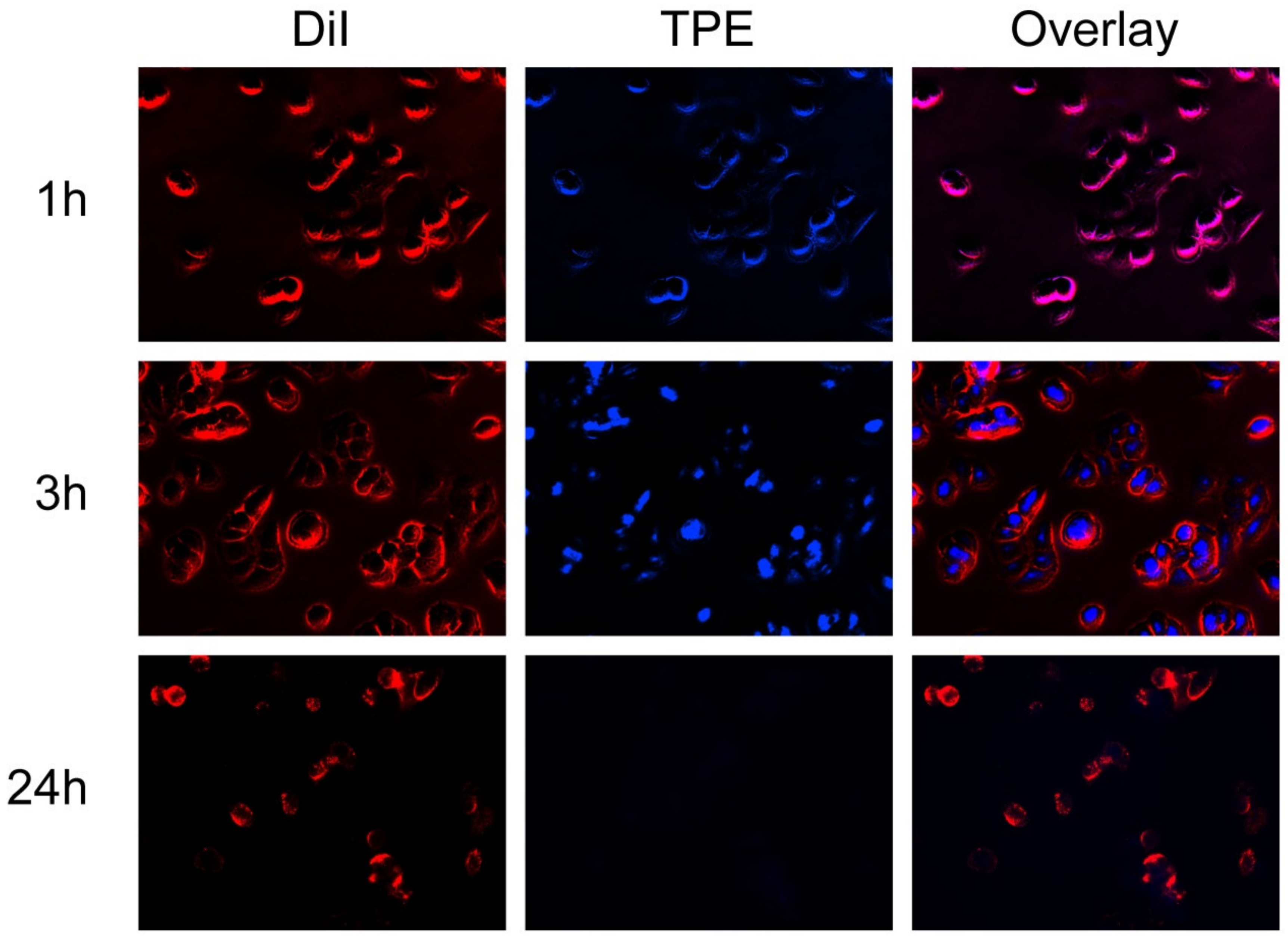 Molecules 25 00604 g009