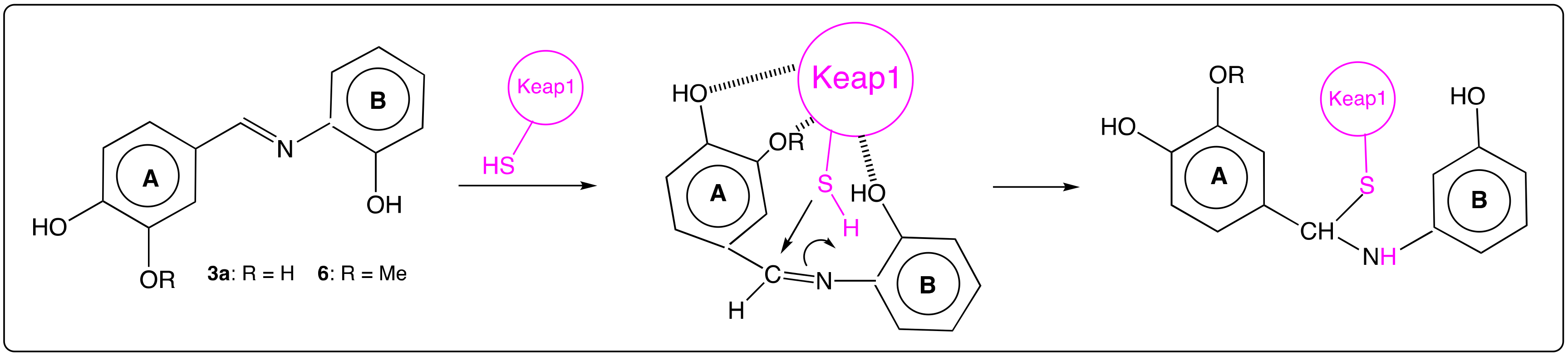 Molecules 25 00605 g008