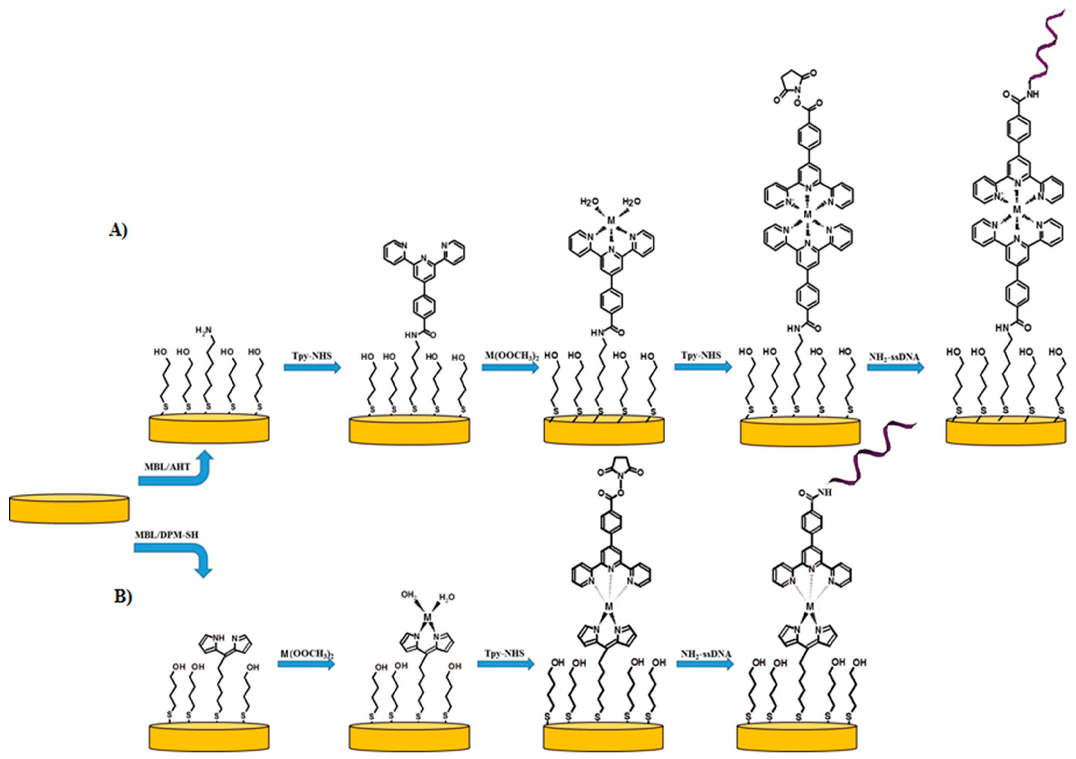 Molecules 25 00607 sch001
