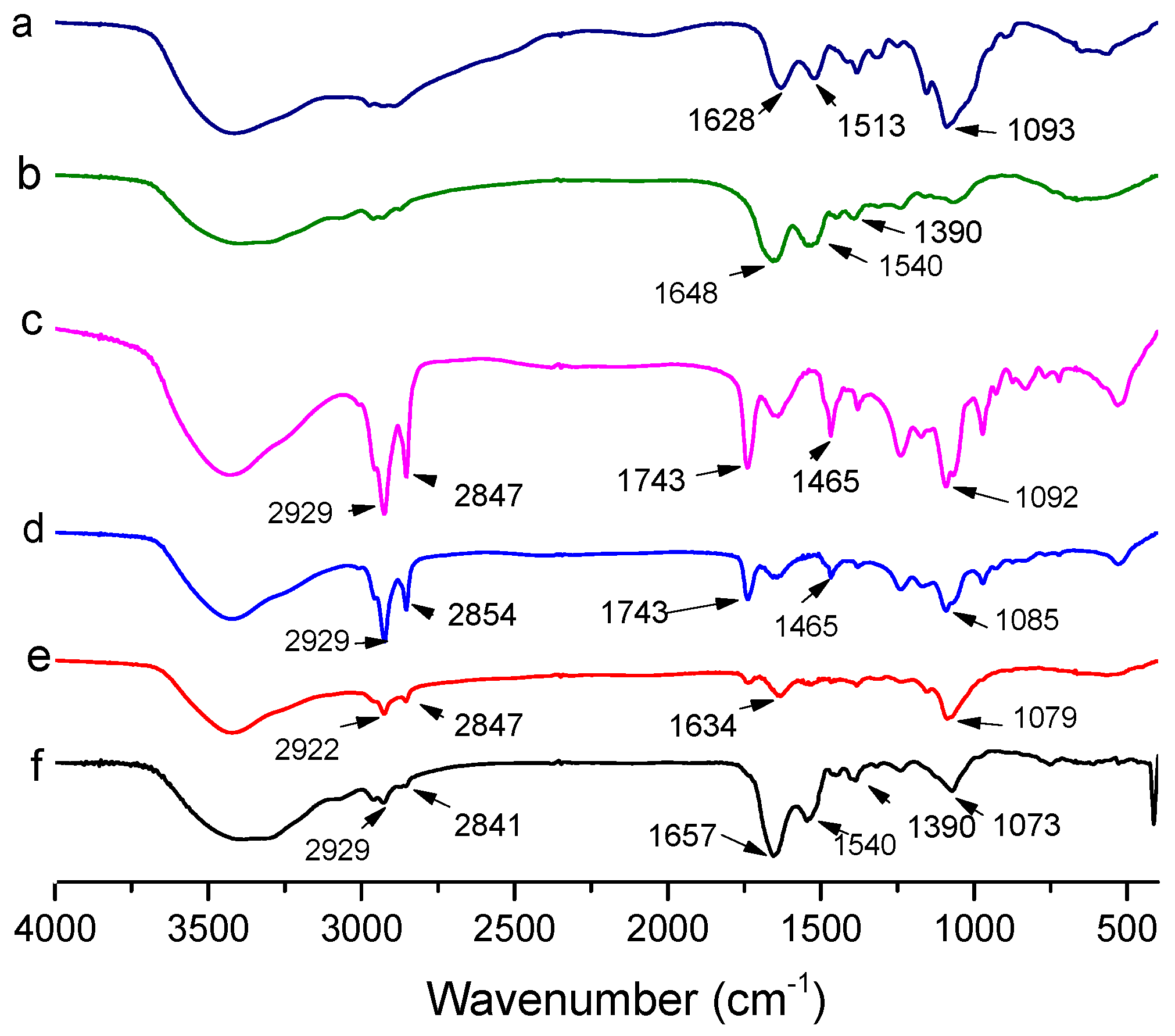 Molecules 25 00610 g004