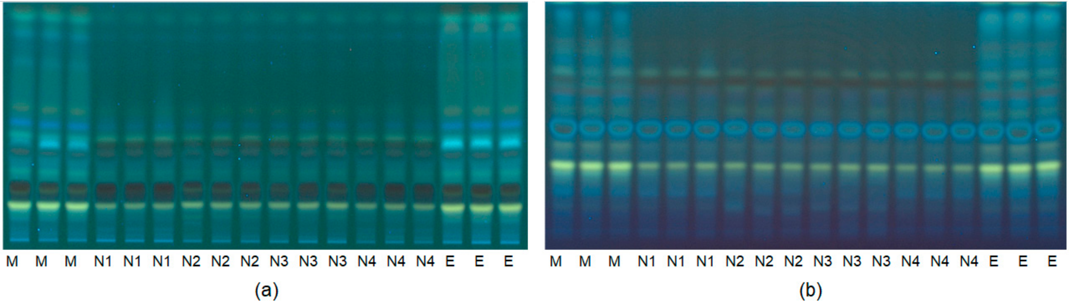 Molecules 25 00617 g002