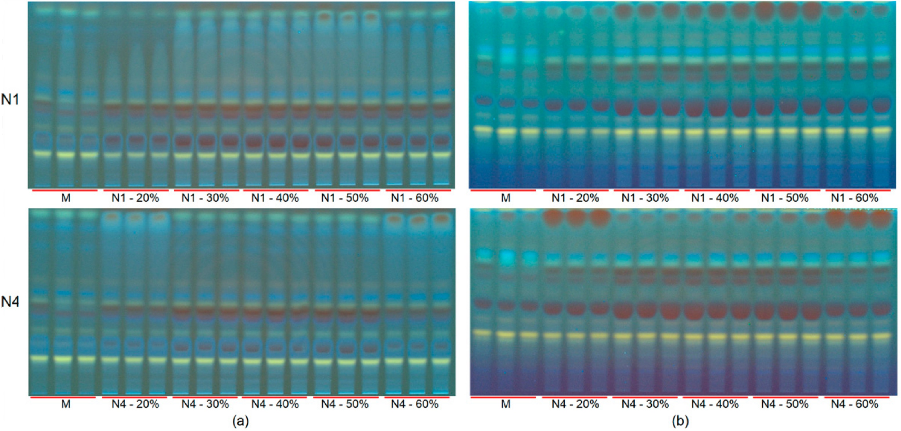 Molecules 25 00617 g004