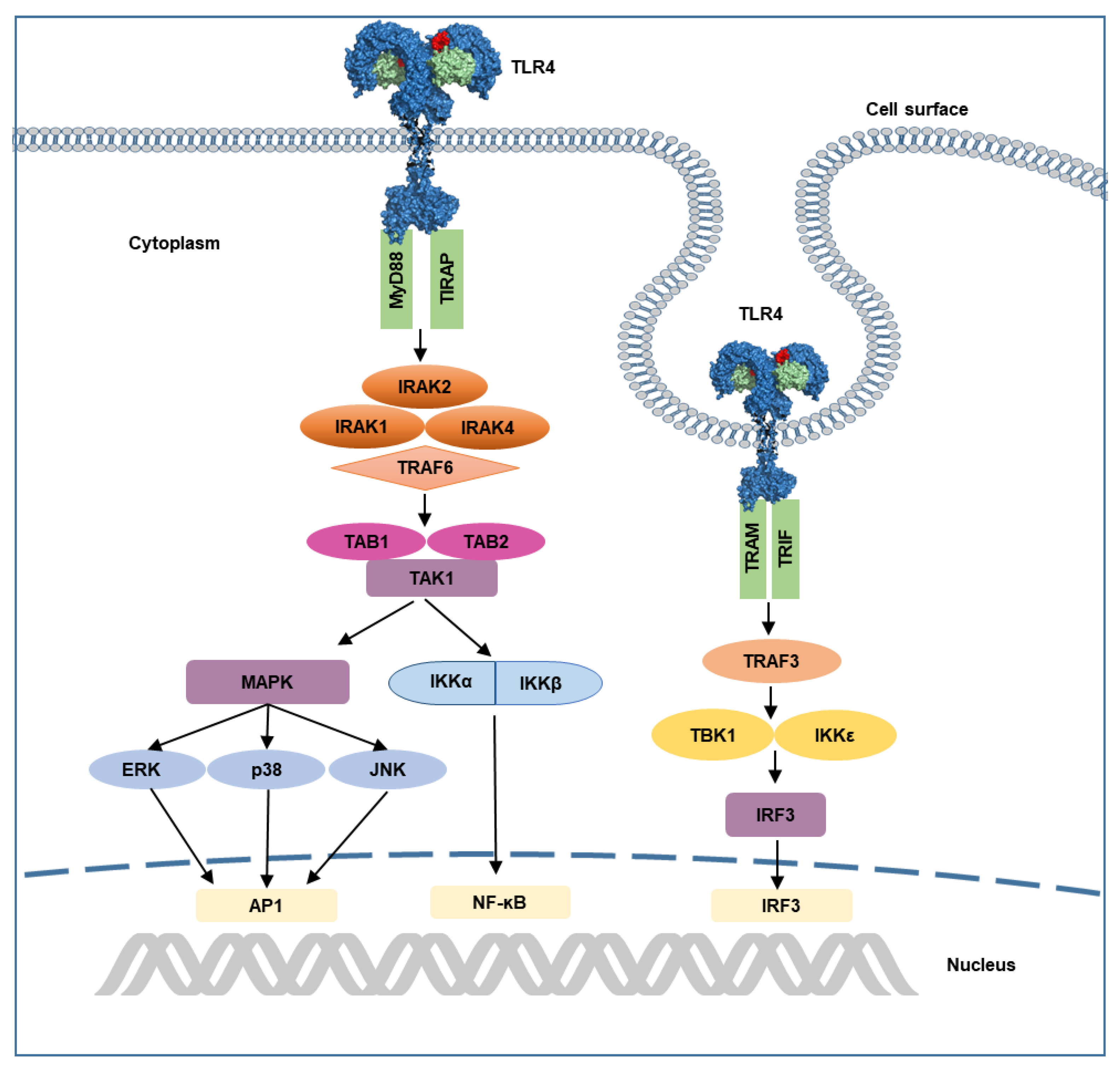 Molecules 25 00627 g004
