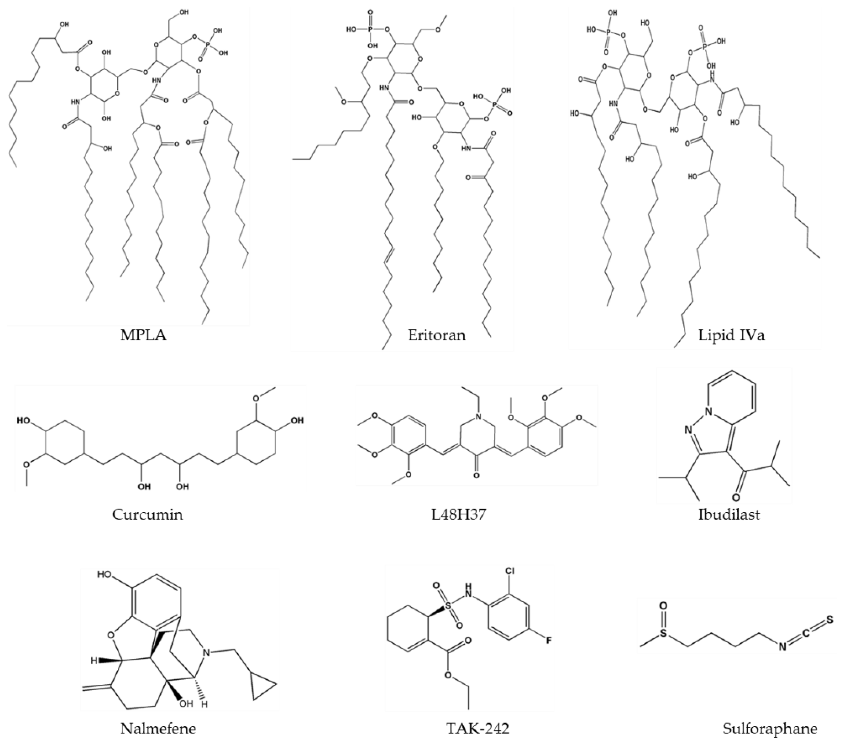Molecules 25 00627 g005